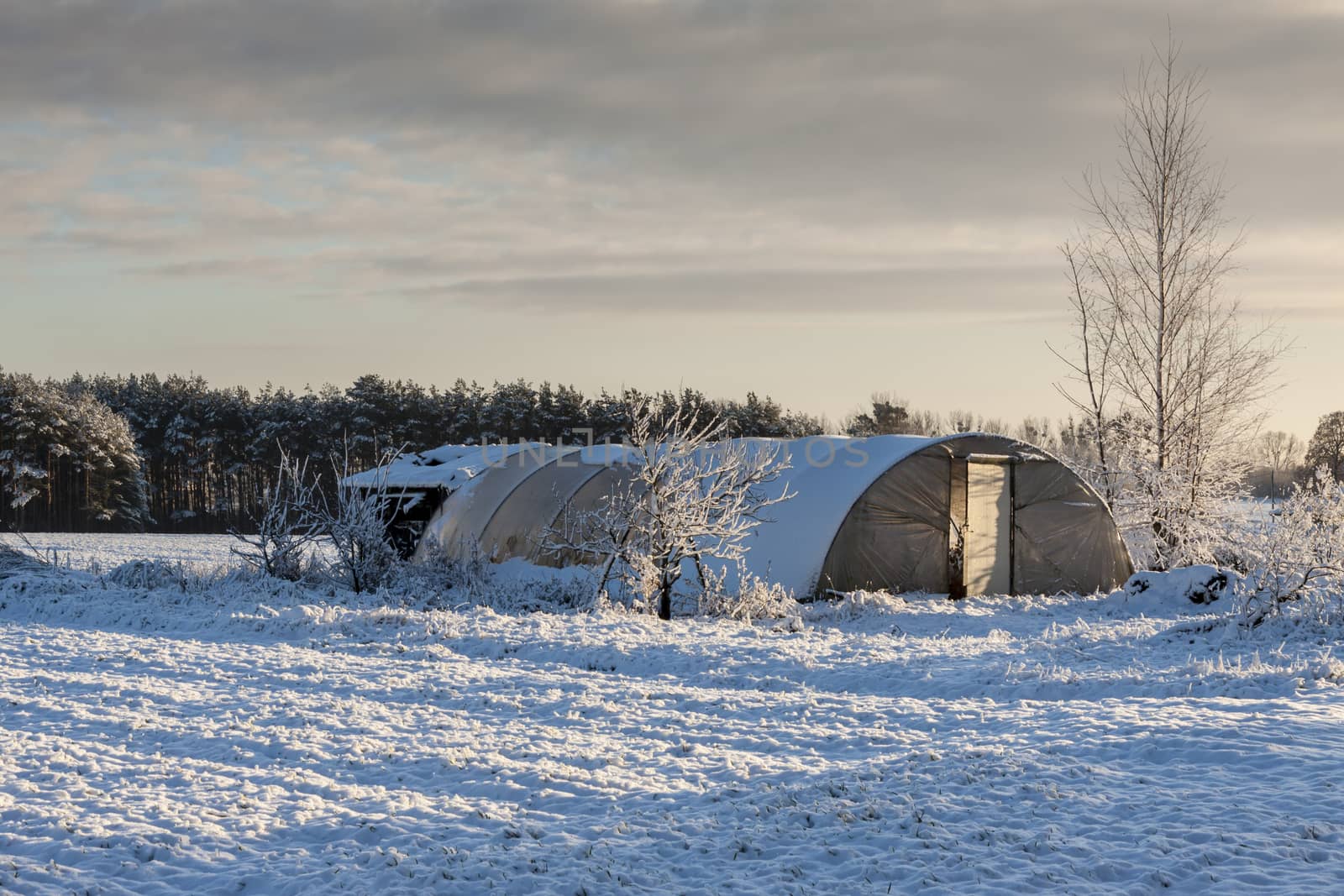Polish rural landscape on winter time.