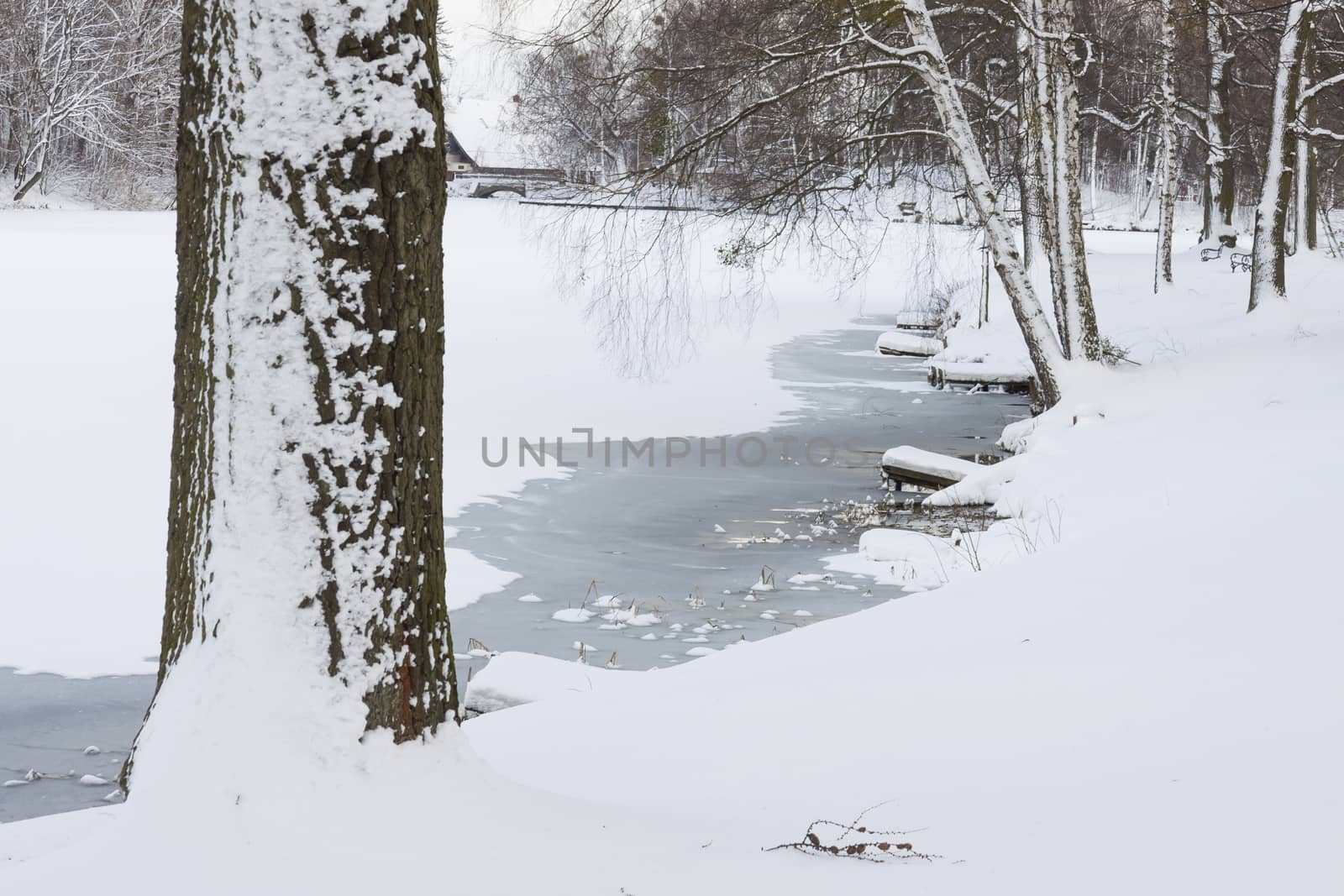 Park in Swierklaniec (Poland) - winter landscape.