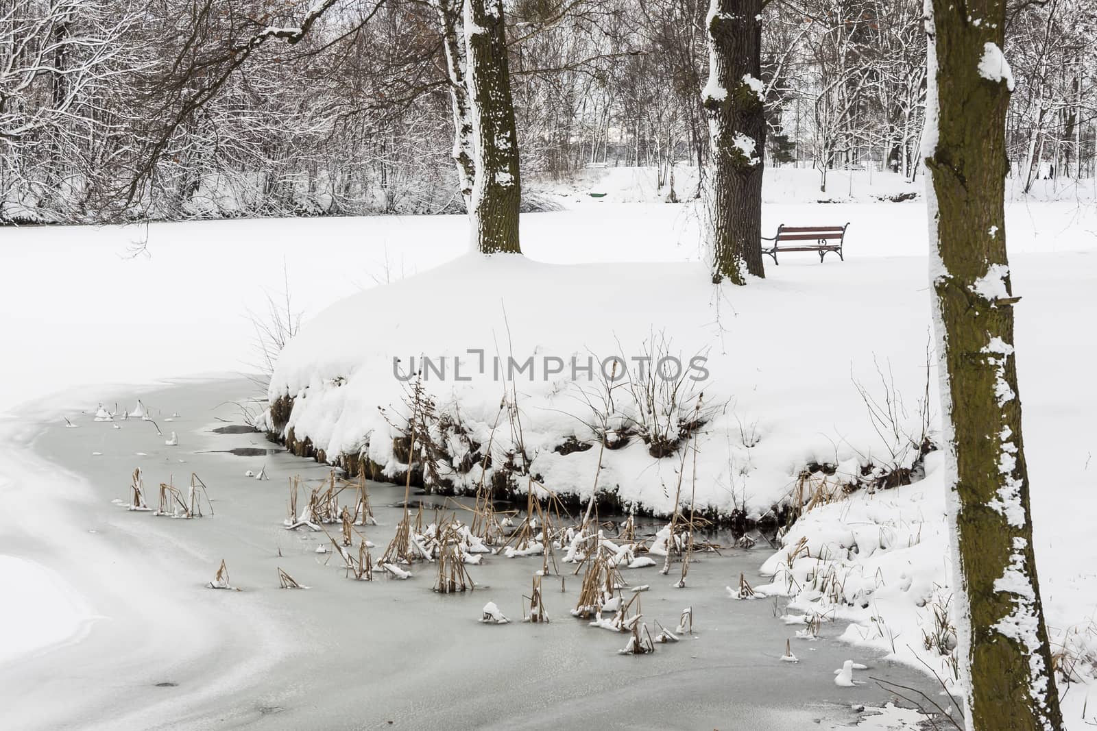 Park in Swierklaniec (Poland) - winter landscape.