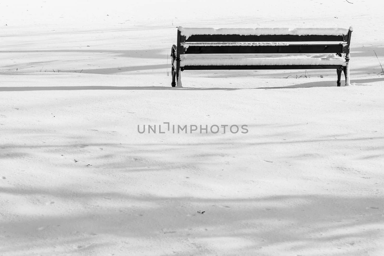 Empty wooden bench by parys