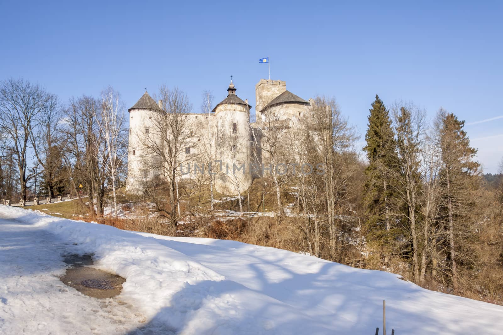 Niedzica castle in Poland, Europe.