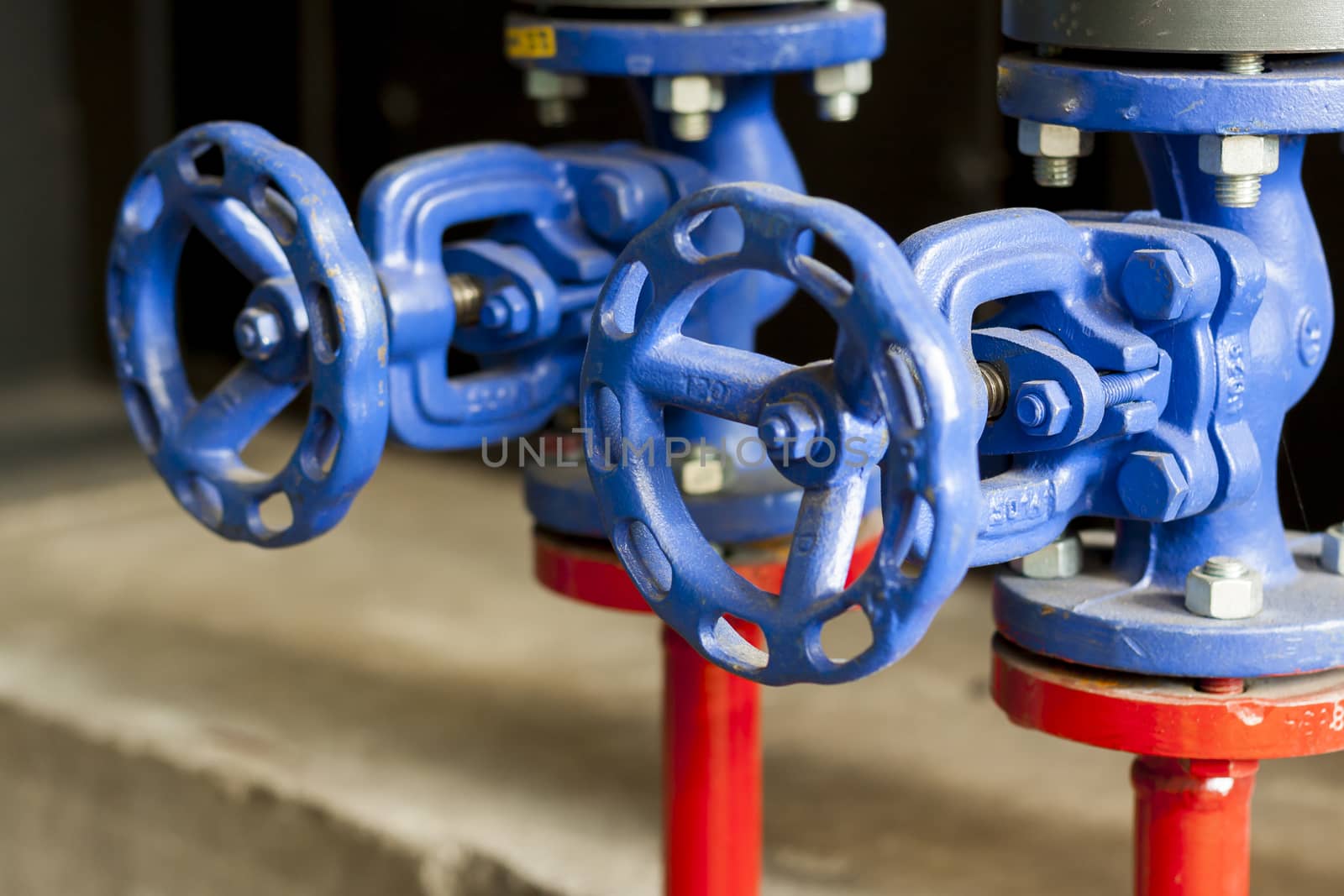 Blue safety valves by parys