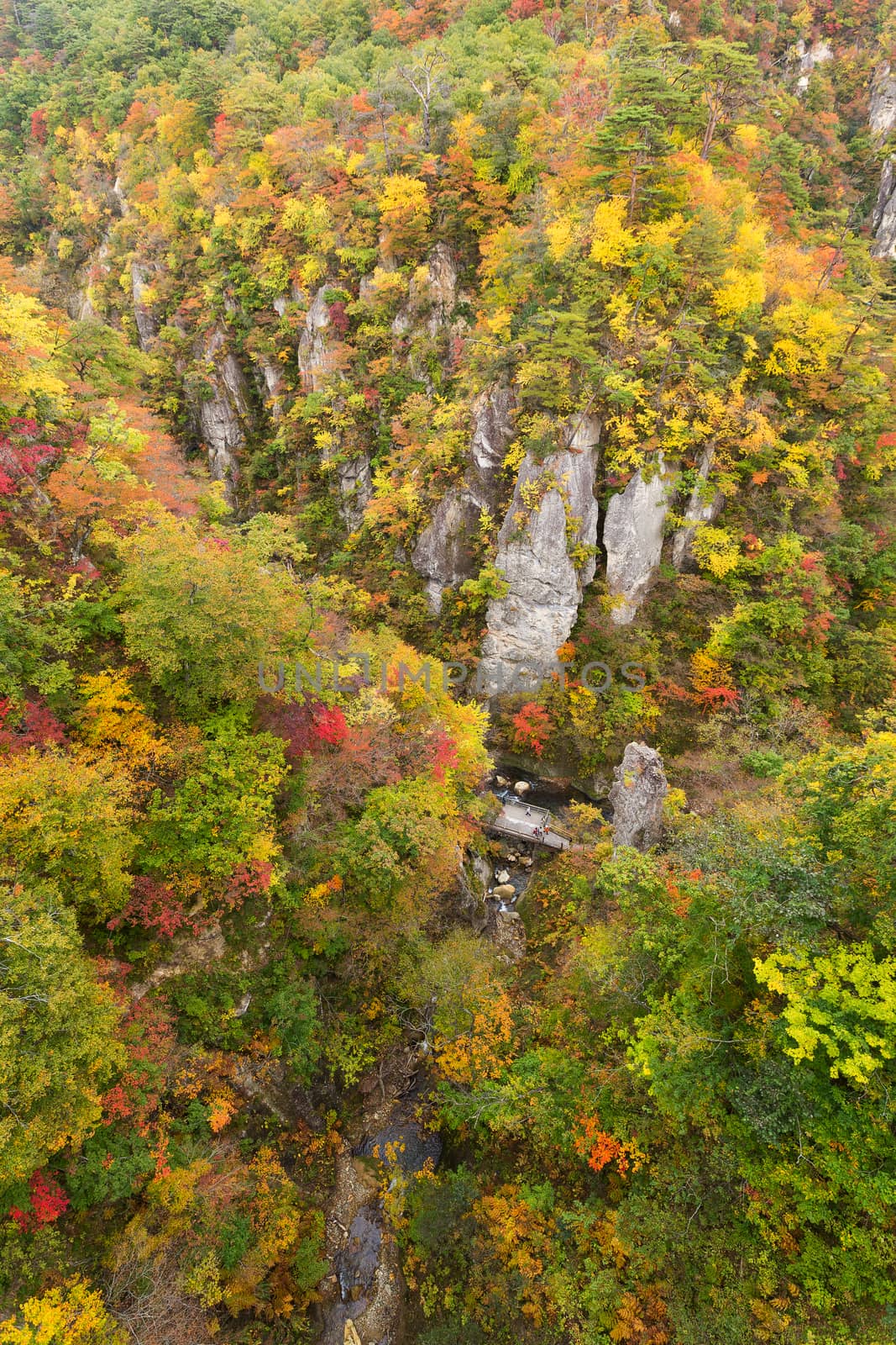 Naruko canyon in autumn season