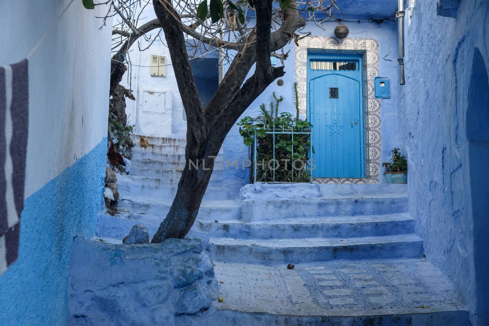 Chefchaouen, the blue city in the Morocco is a popular travel destination