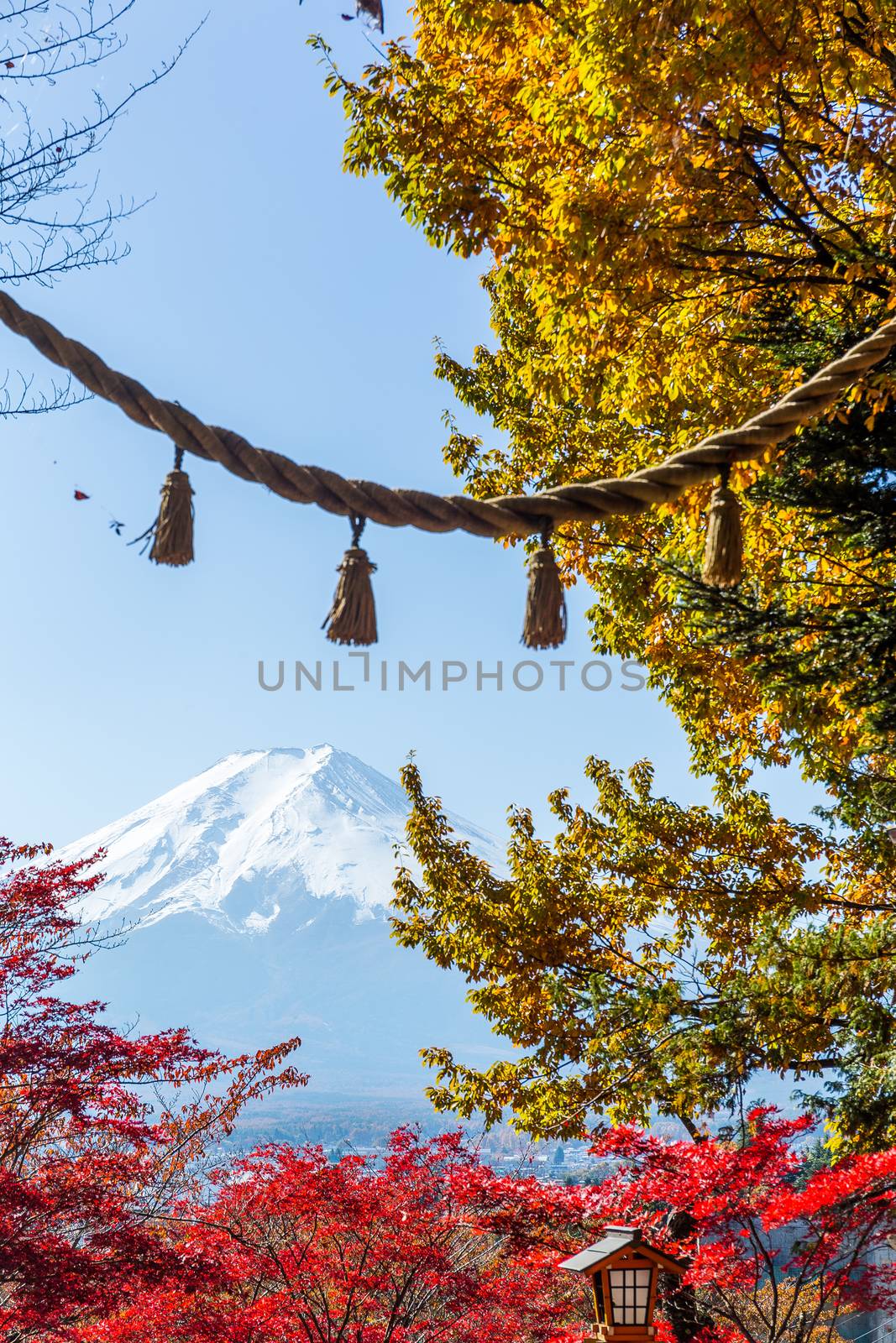 Mount Fuji with japanese temple rope