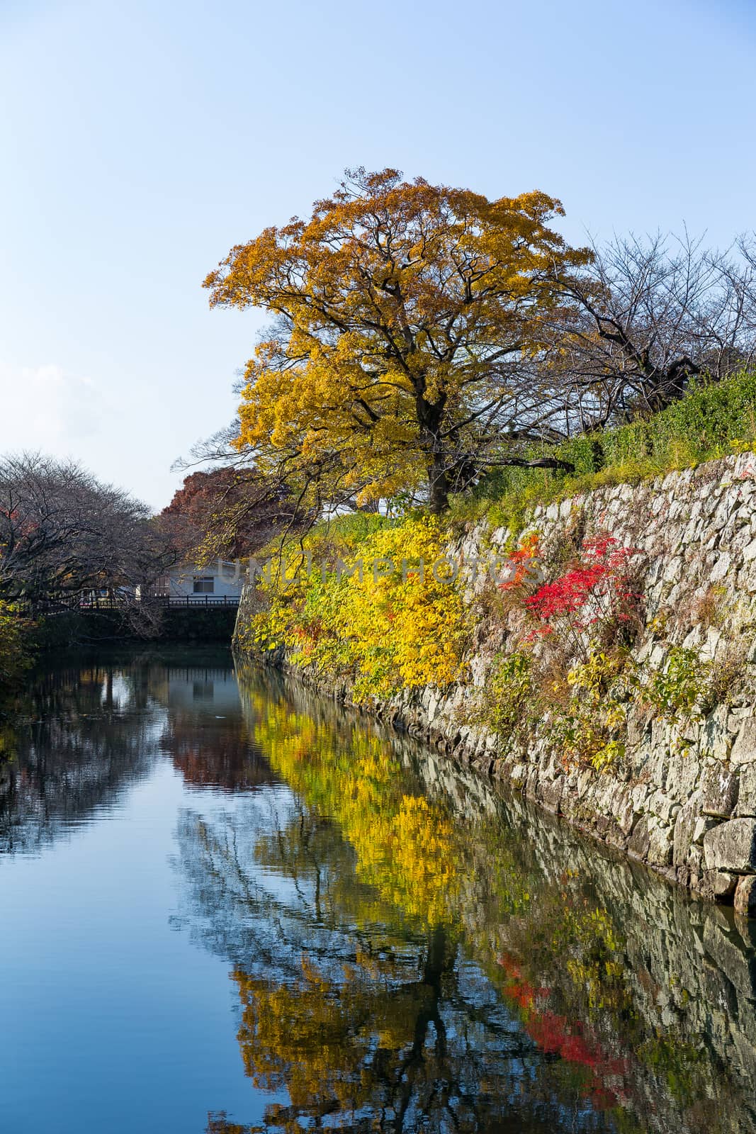 Himeji castle at autumn
