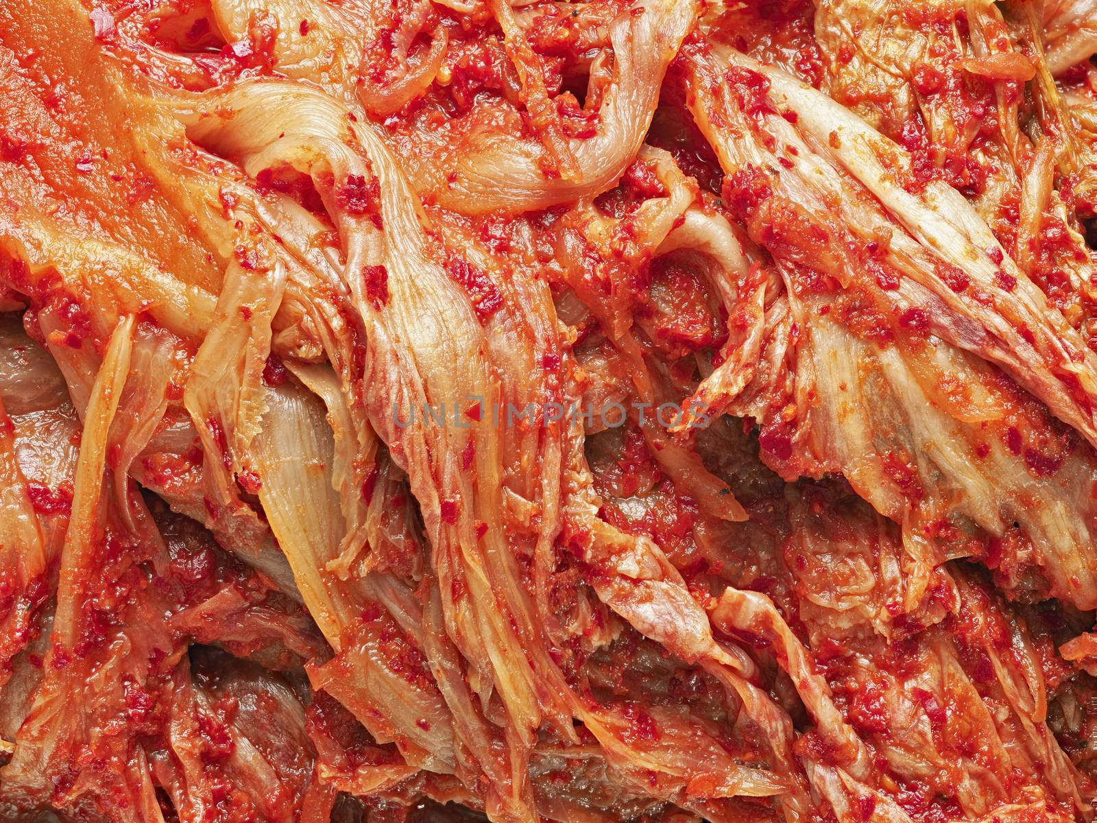 rustic korean fermented cabbage kimchi by zkruger