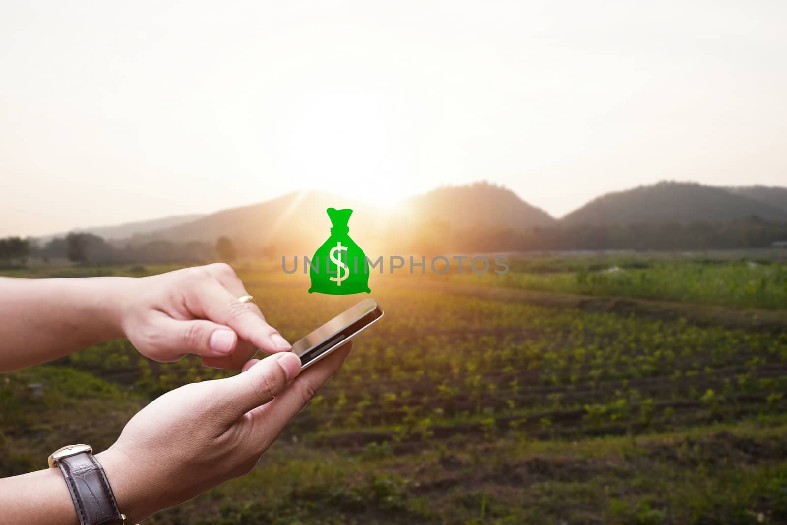 Hand holding smartphone with trade agriculture product,digital trade market agricultural product.