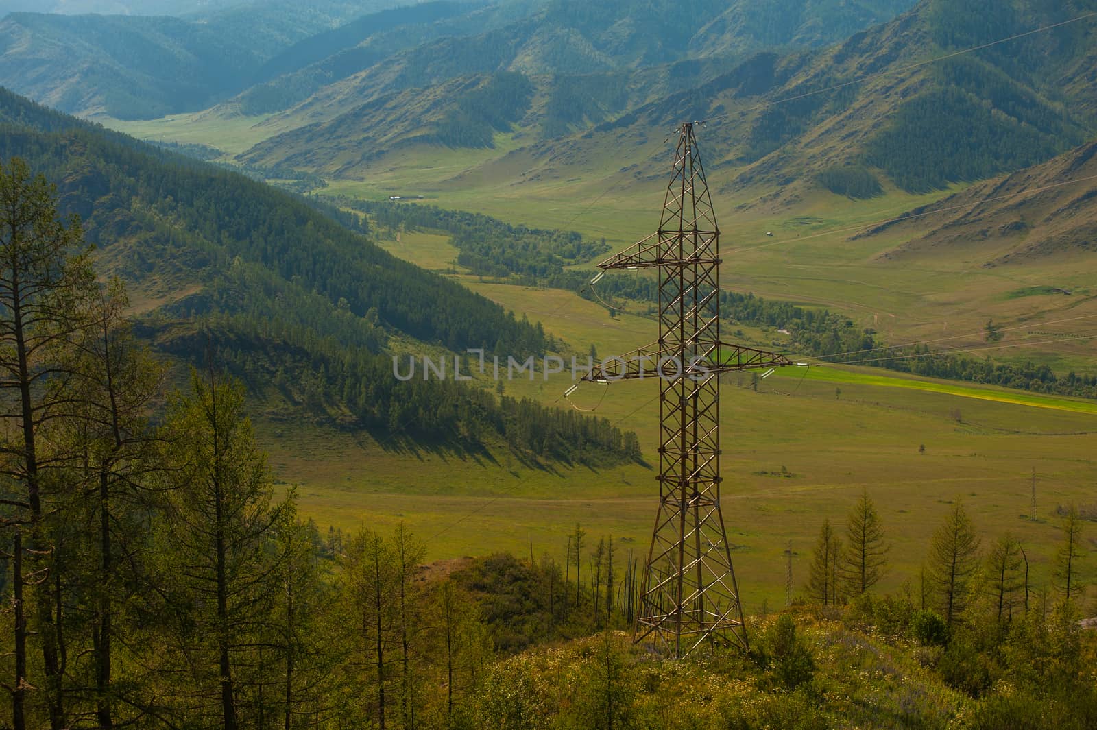 Mountain pass Chike-Taman in Altai, Siberia, Russia