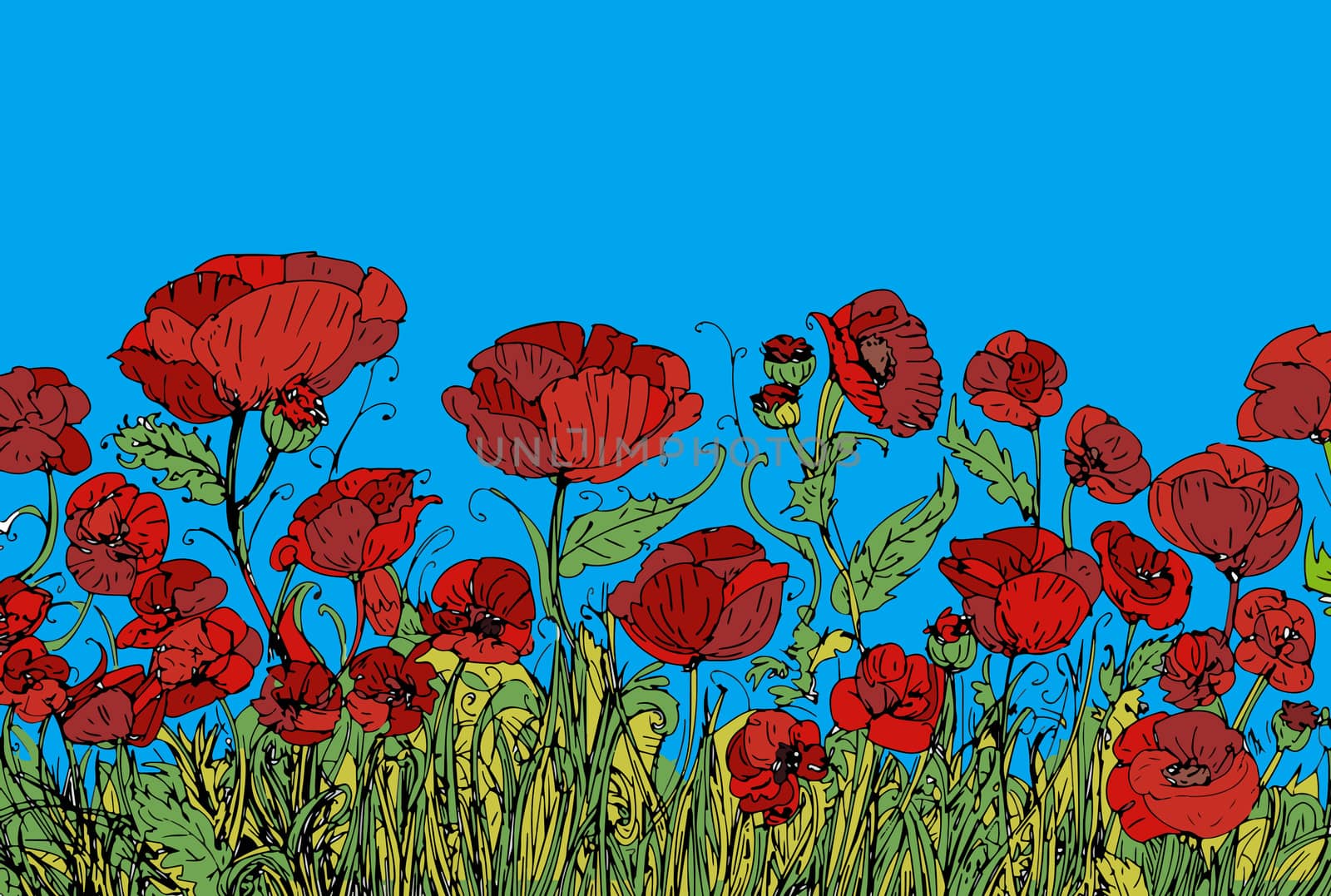 Field of red poppies banner by silviagaudenzi