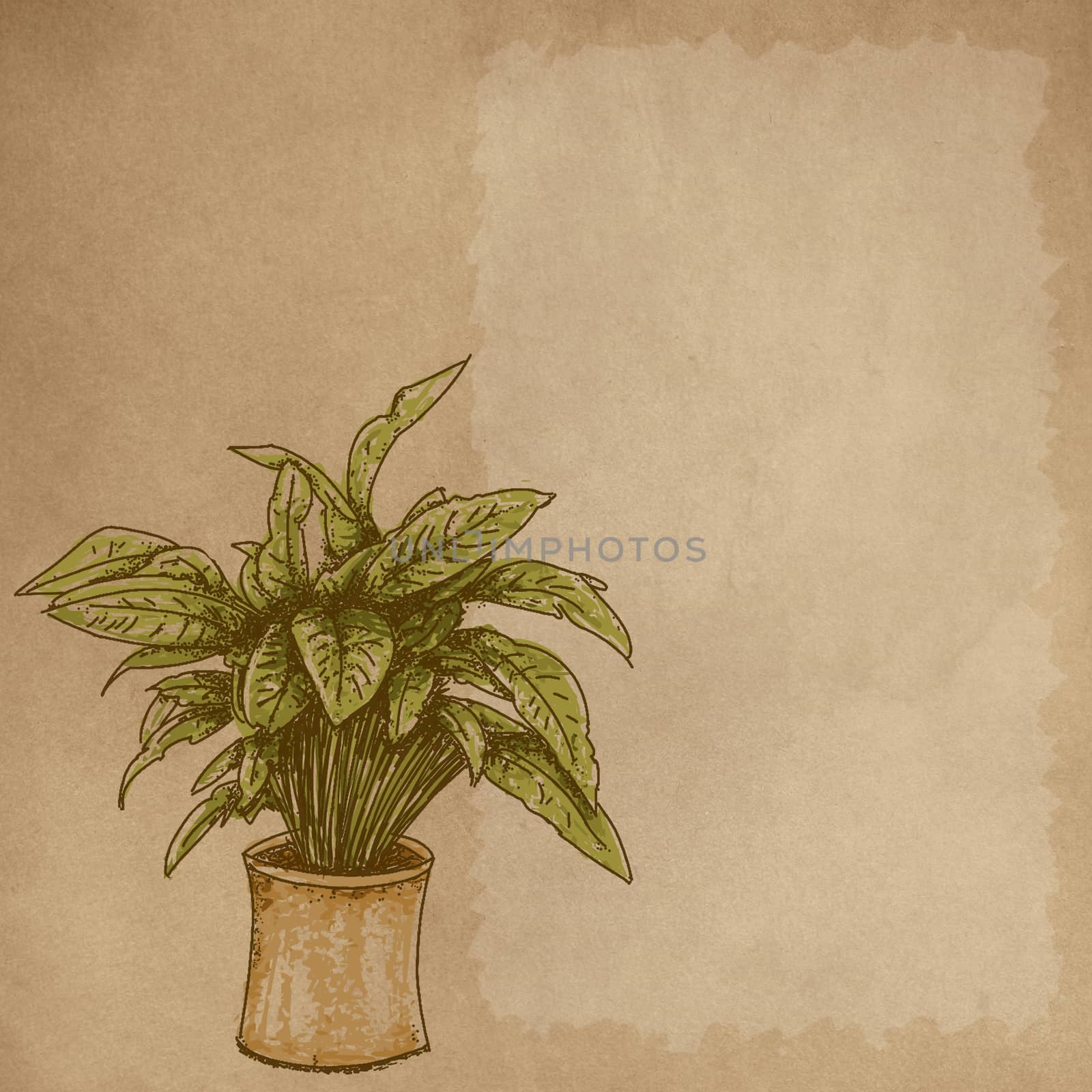 Disegni realistici al tratto di piante Crema e spazio di scrittura Disegni realistici al tratto di piante Crema e spazio di scrittura