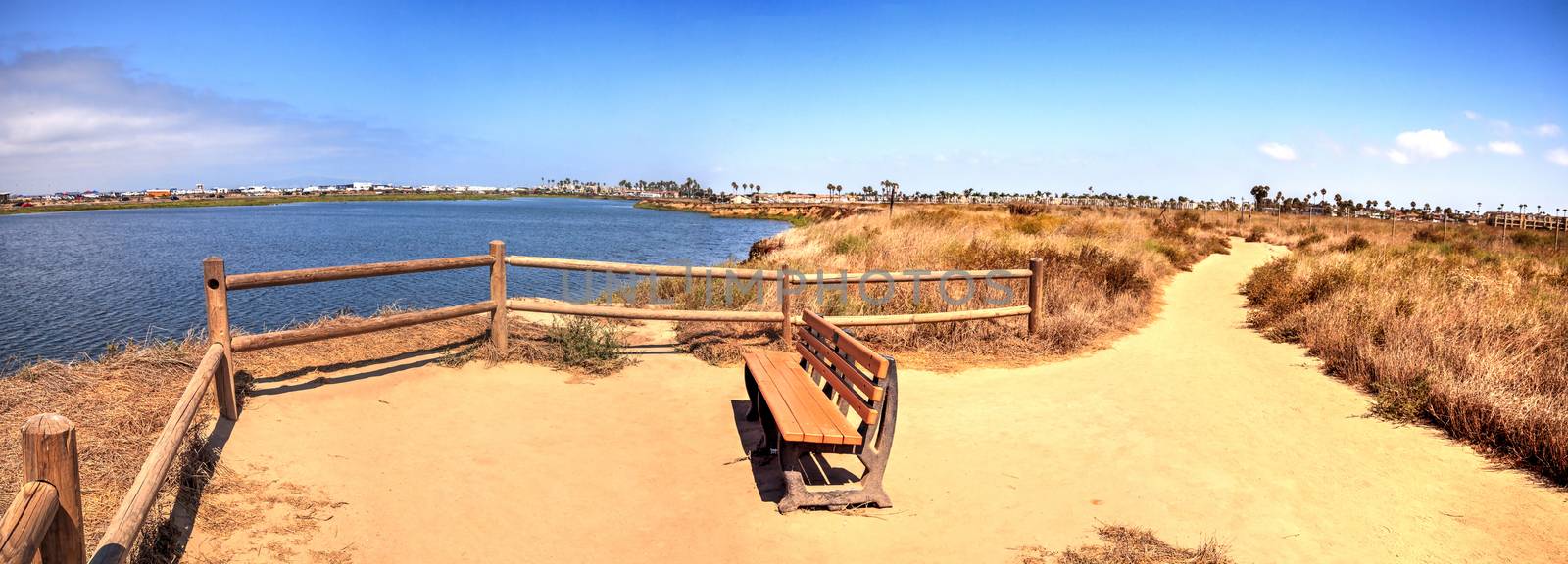 Bench overlooking the peaceful and tranquil marsh of Bolsa Chica by steffstarr