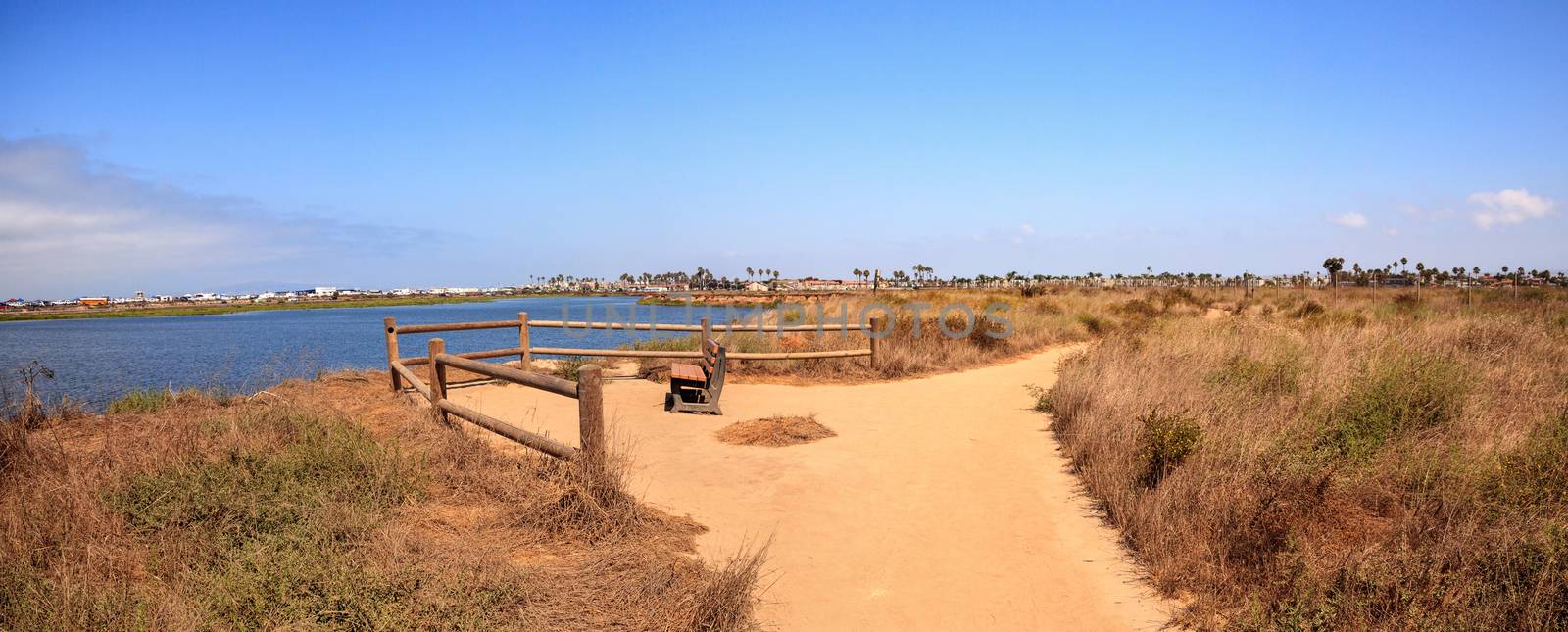 Bench overlooking the peaceful and tranquil marsh of Bolsa Chica by steffstarr