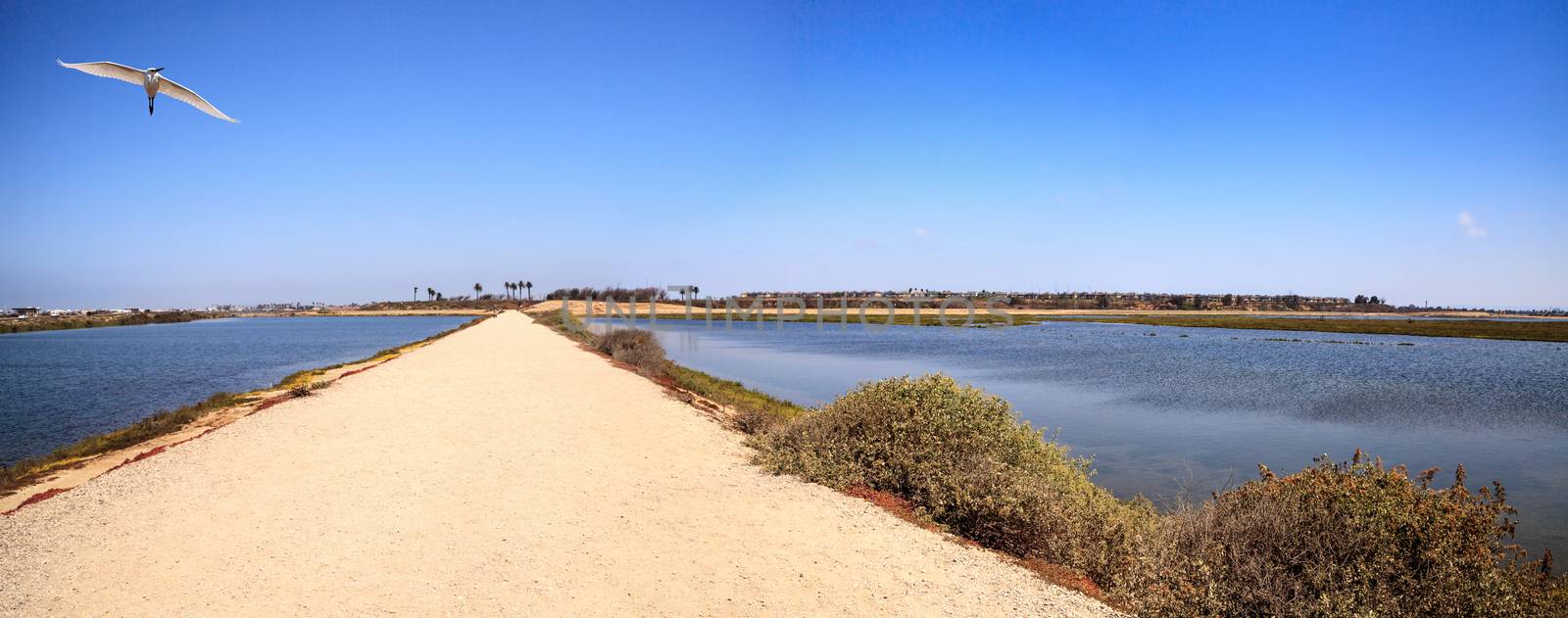 Path along the peaceful and tranquil marsh of Bolsa Chica wetlands in Huntington Beach, California, USA
