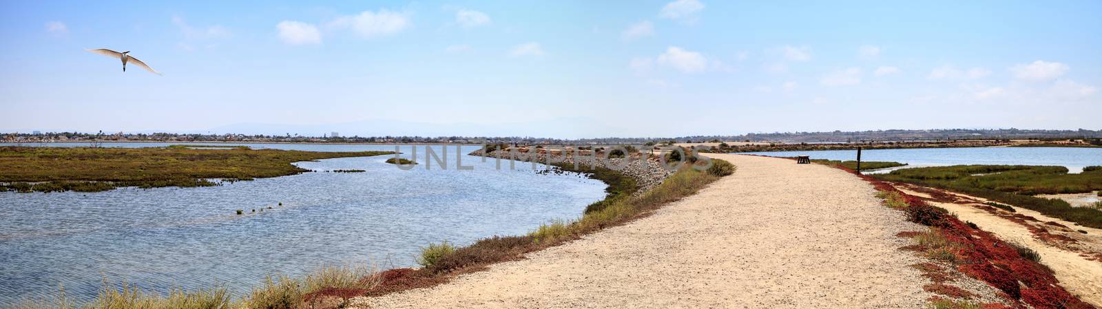 Path along the peaceful and tranquil marsh of Bolsa Chica wetlan by steffstarr