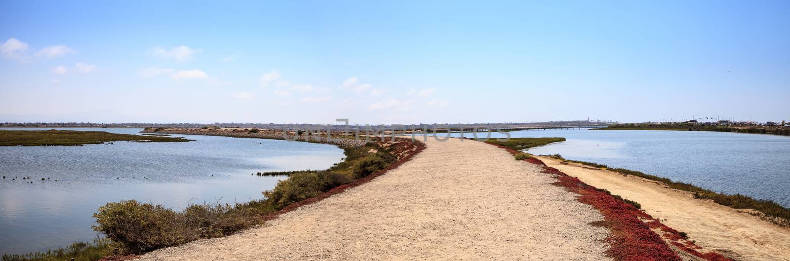 Path along the peaceful and tranquil marsh of Bolsa Chica wetlan by steffstarr