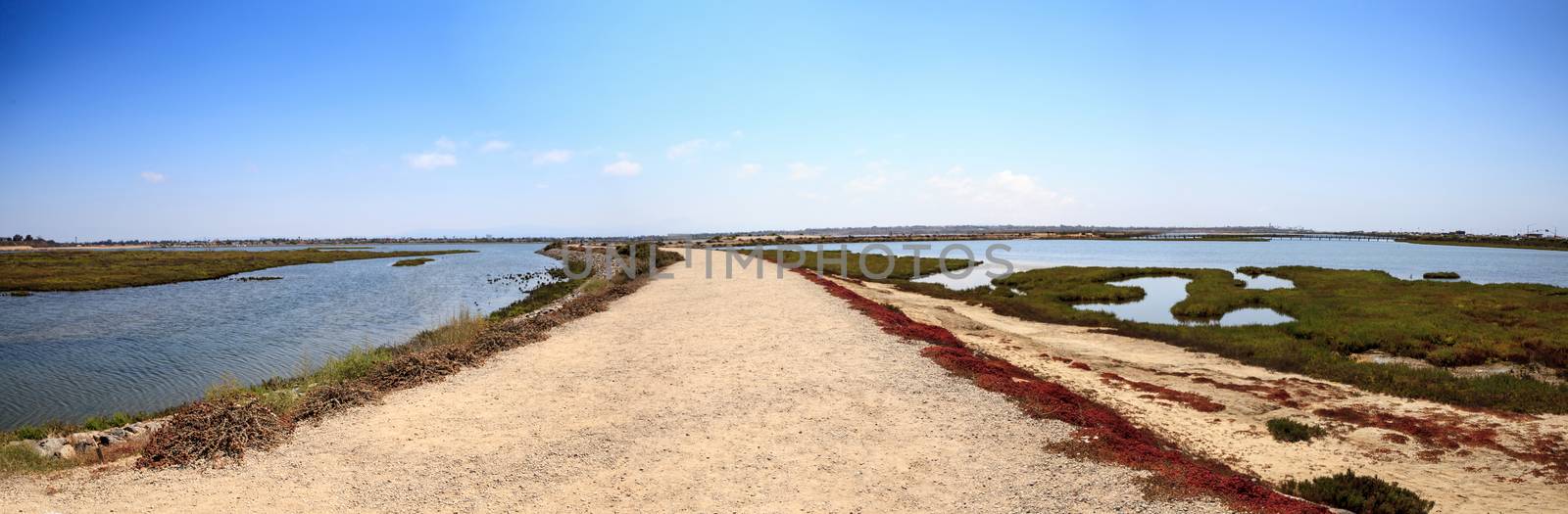 Path along the peaceful and tranquil marsh of Bolsa Chica wetlan by steffstarr
