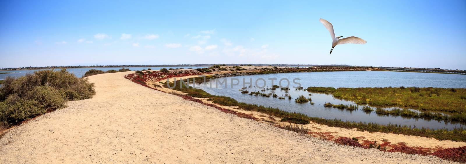 Path along the peaceful and tranquil marsh of Bolsa Chica wetlands in Huntington Beach, California, USA