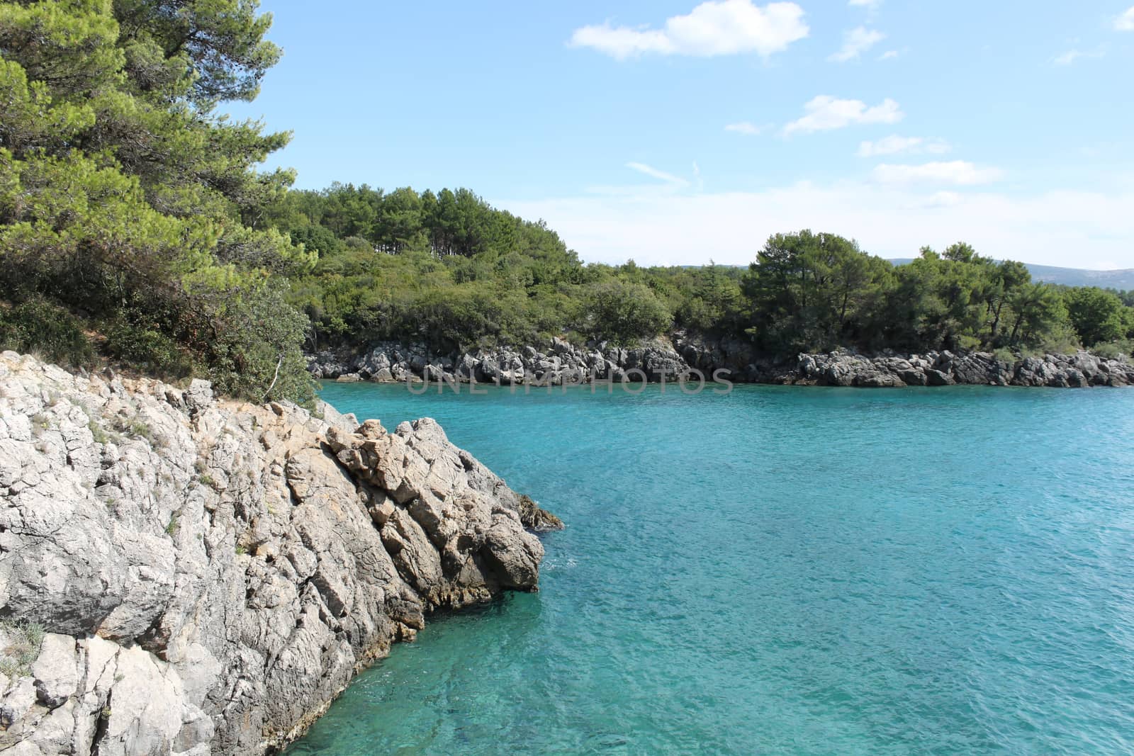 Turquoise water, rocks and forest. Wild coast in Croatia. by Kasia_Lawrynowicz