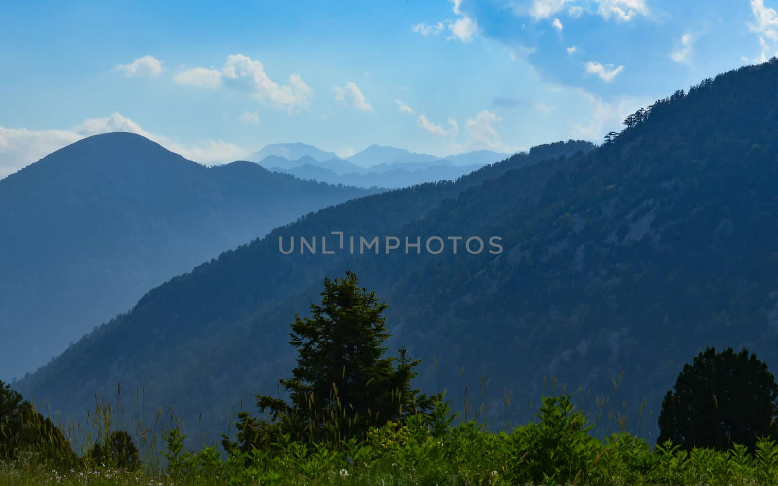 Forested area and rising mountain ranges by crazymedia007