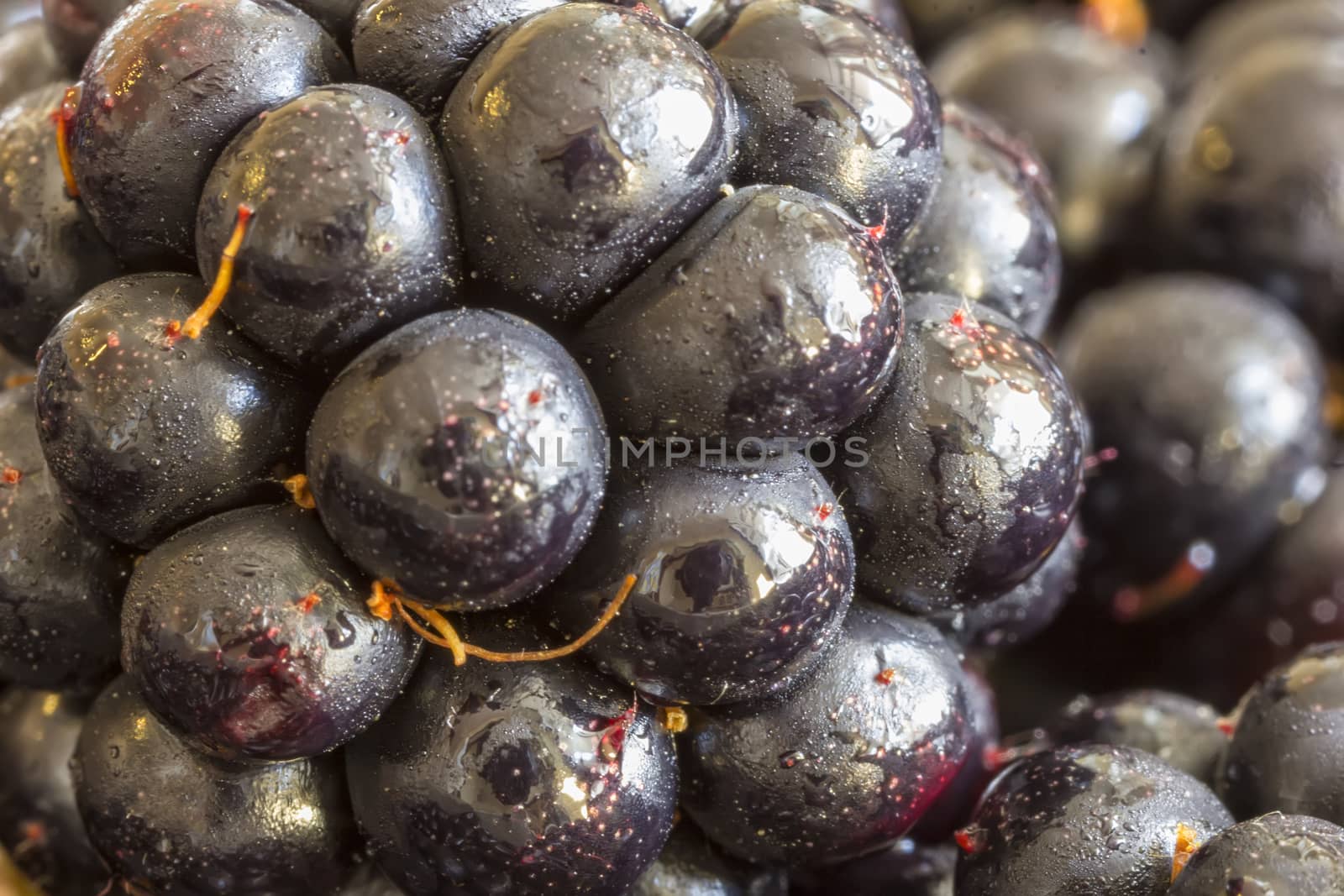 Close up of fresh healthy blackberries fruits