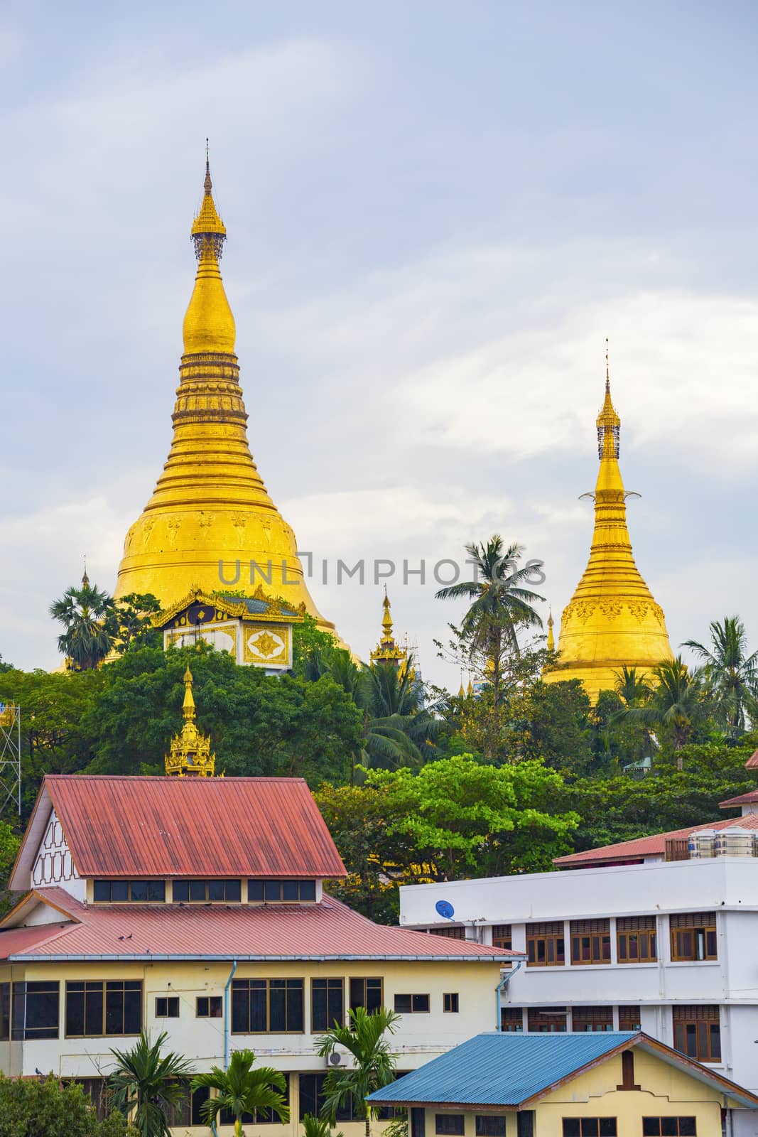 Shwedagon Pagoda of Myanmar by cozyta