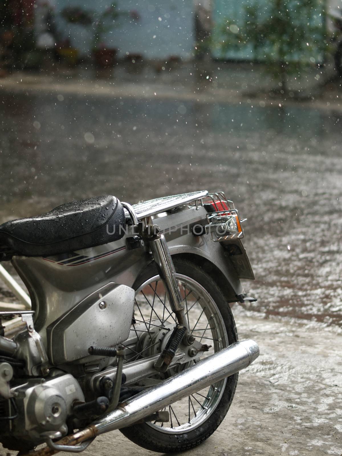 MOTORCYCLE AND CLOSE-UP OF RAINDROPS by PrettyTG
