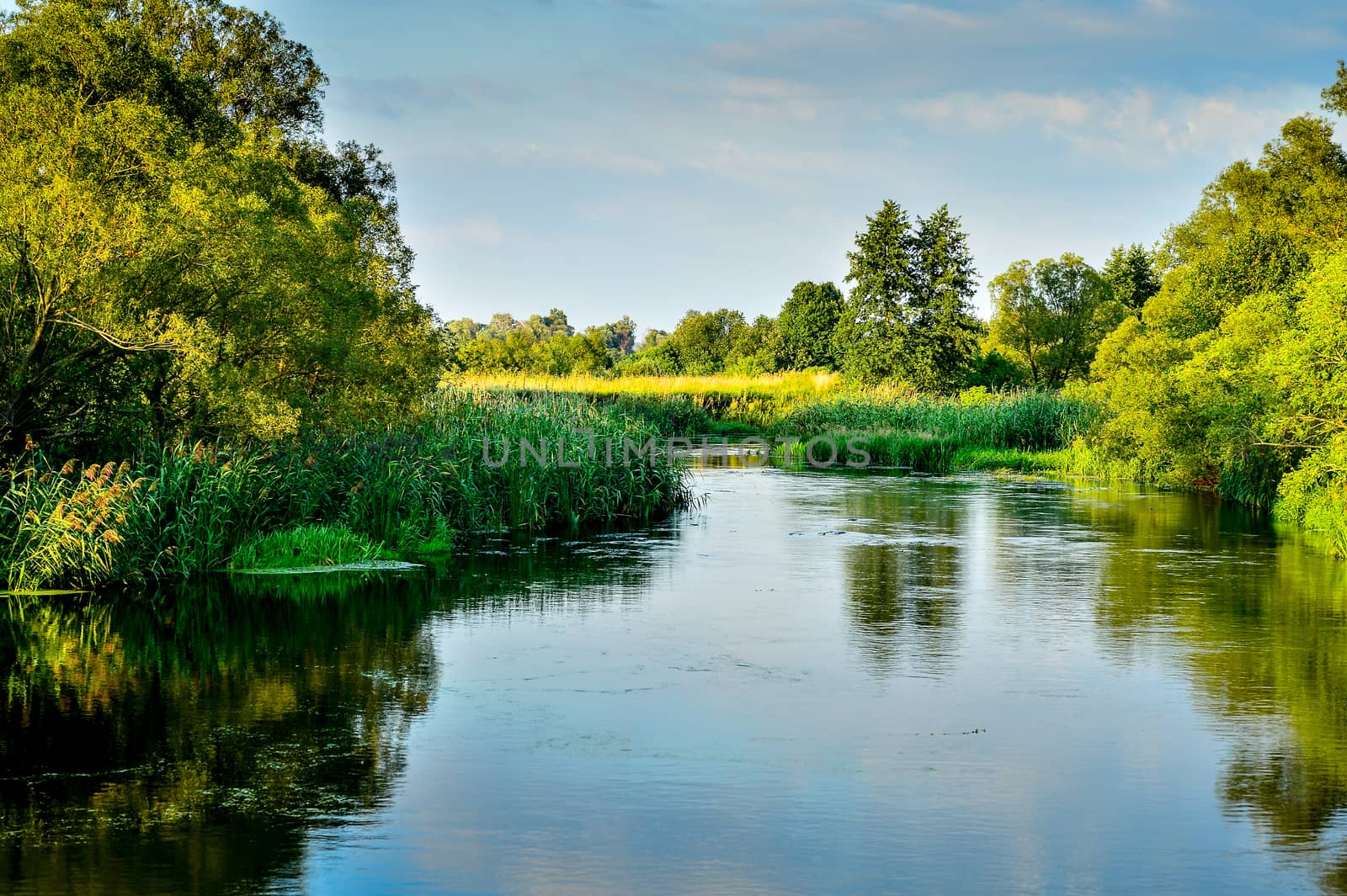 Photo with a river on a clear summer day, landscape.