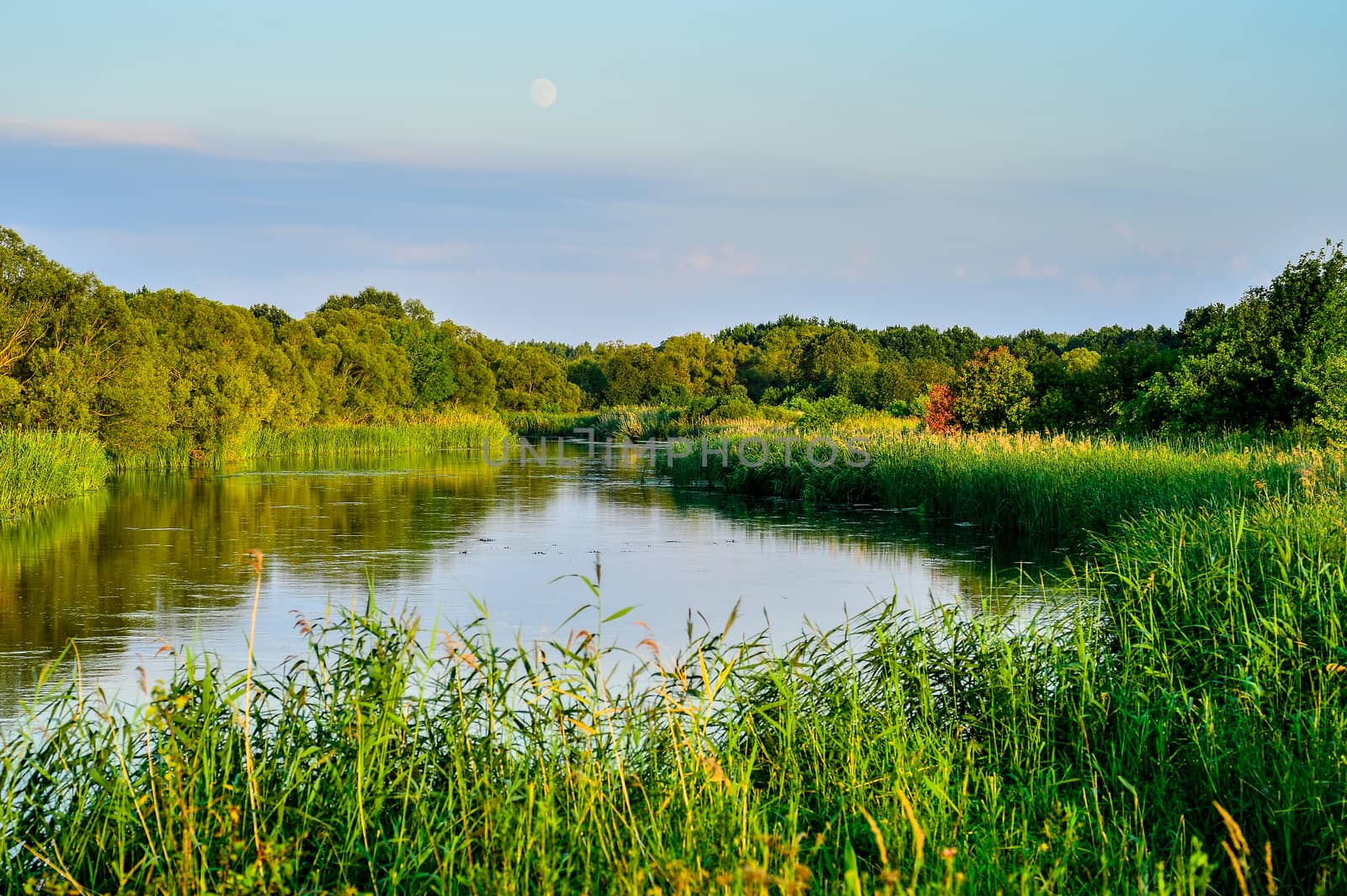 Photo with a river on a clear summer day, landscape.