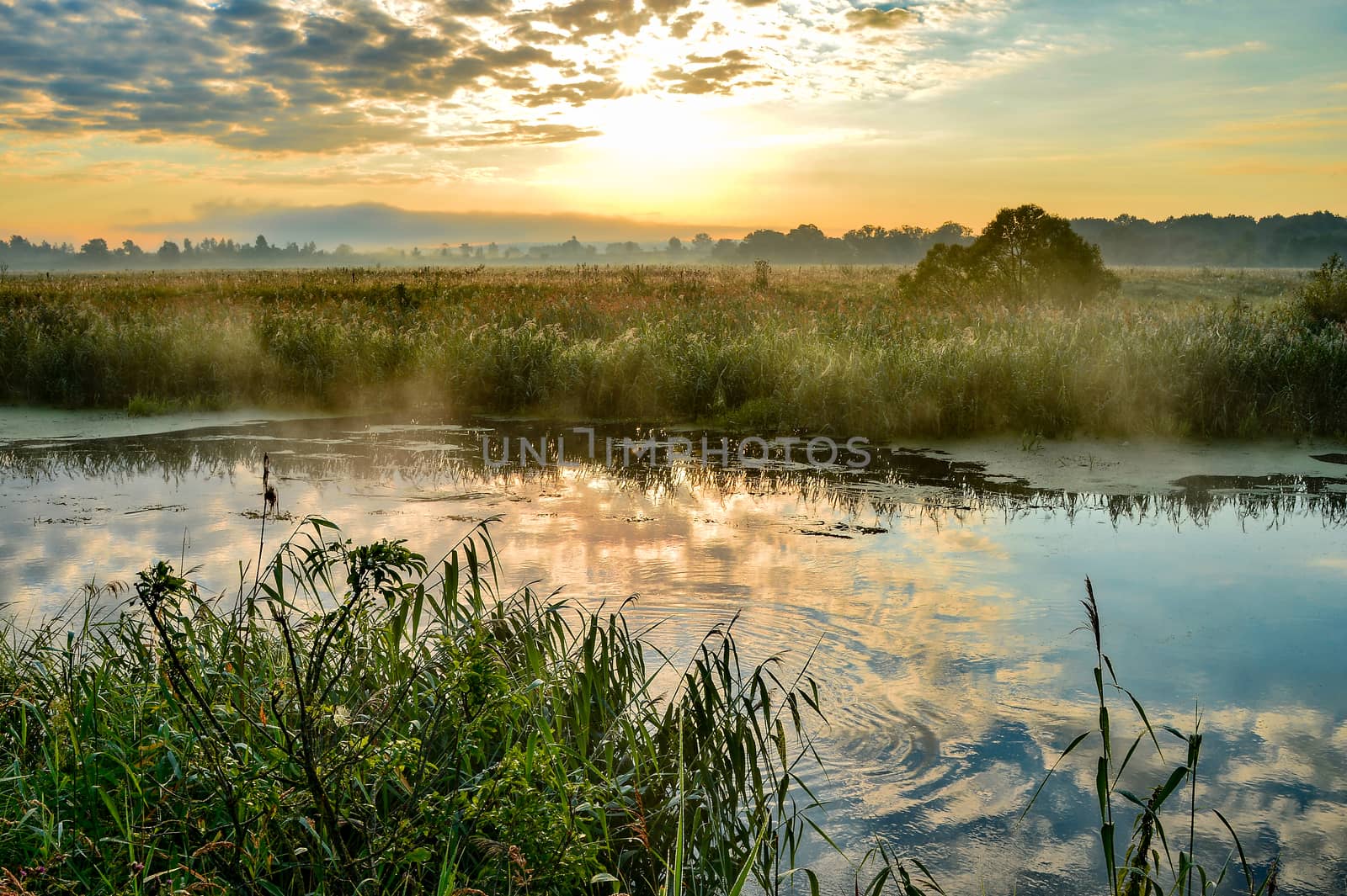 Photo with a sunny summer sunrise over the river.
