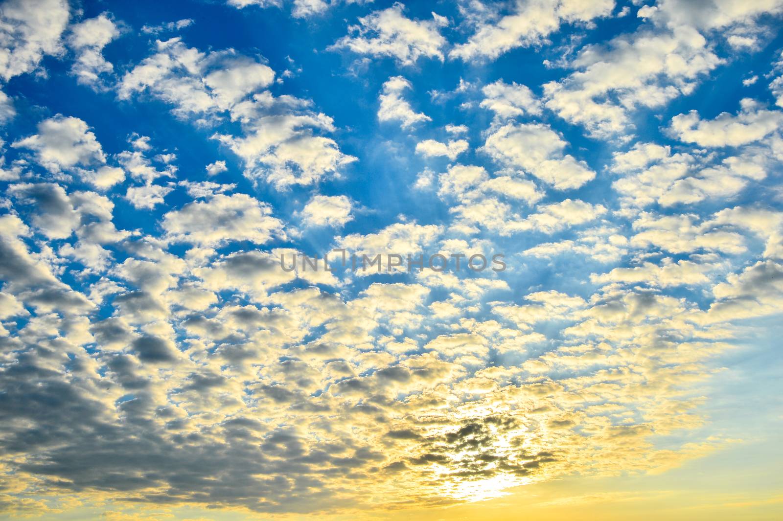 Photo of the divine sky.