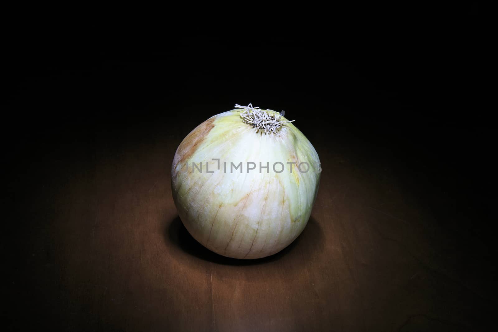 onion isolated on the shadow