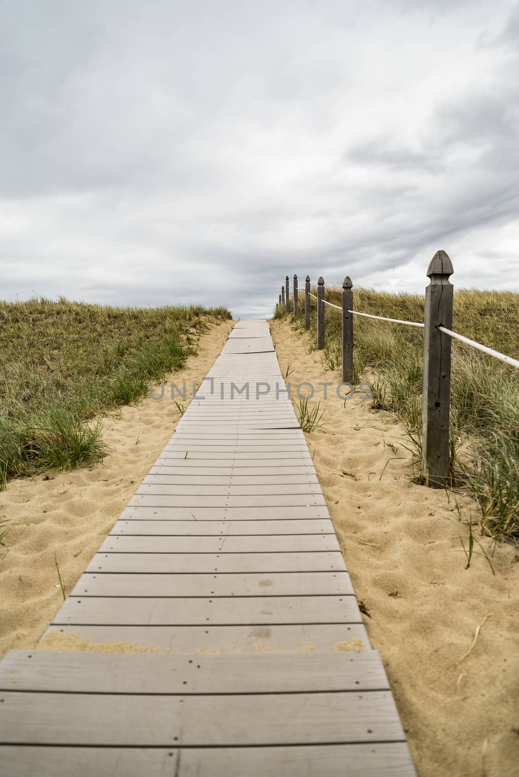 Wooden path over dunes at beach. by edella