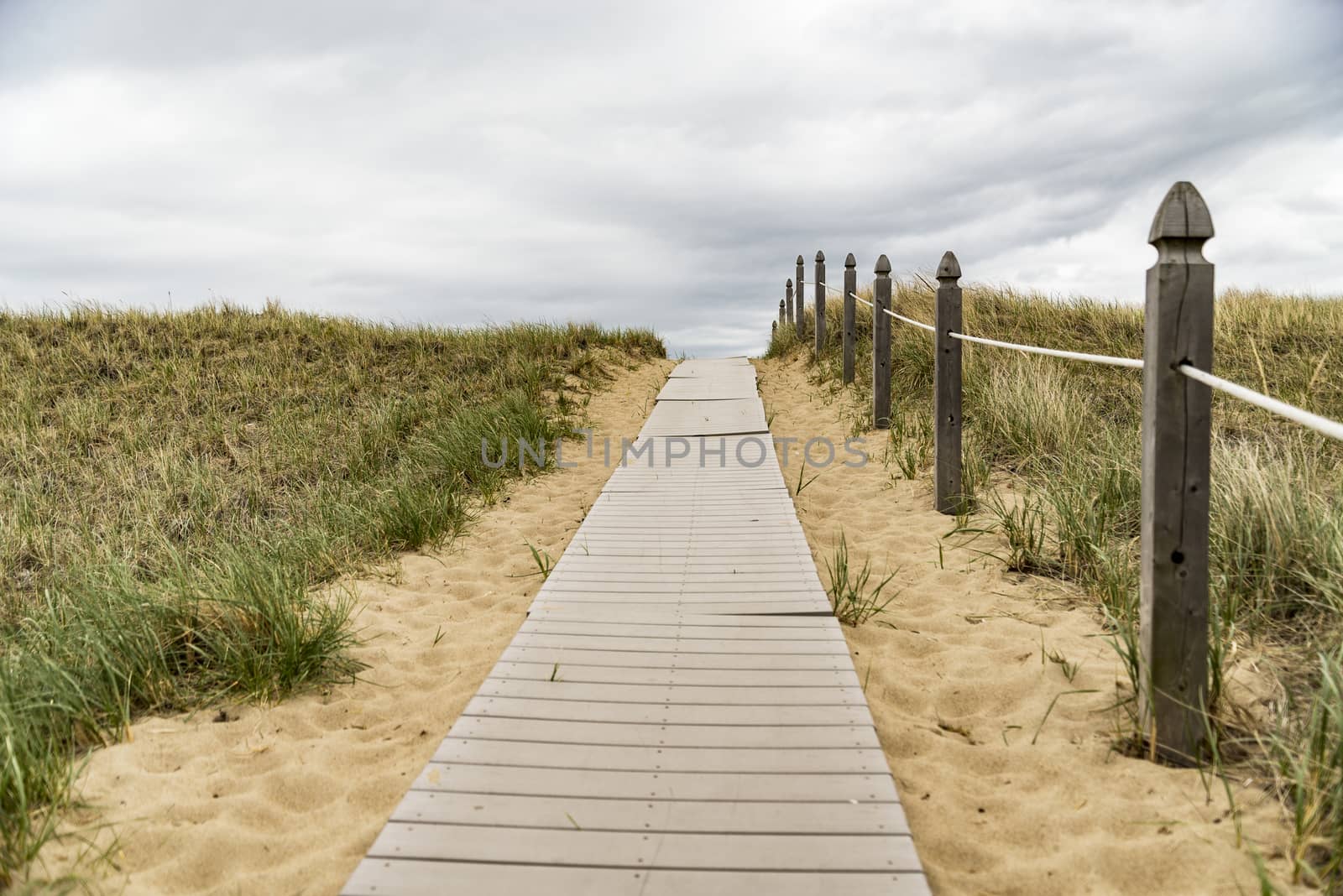 Wooden path over dunes at beach. South of Maine, USA