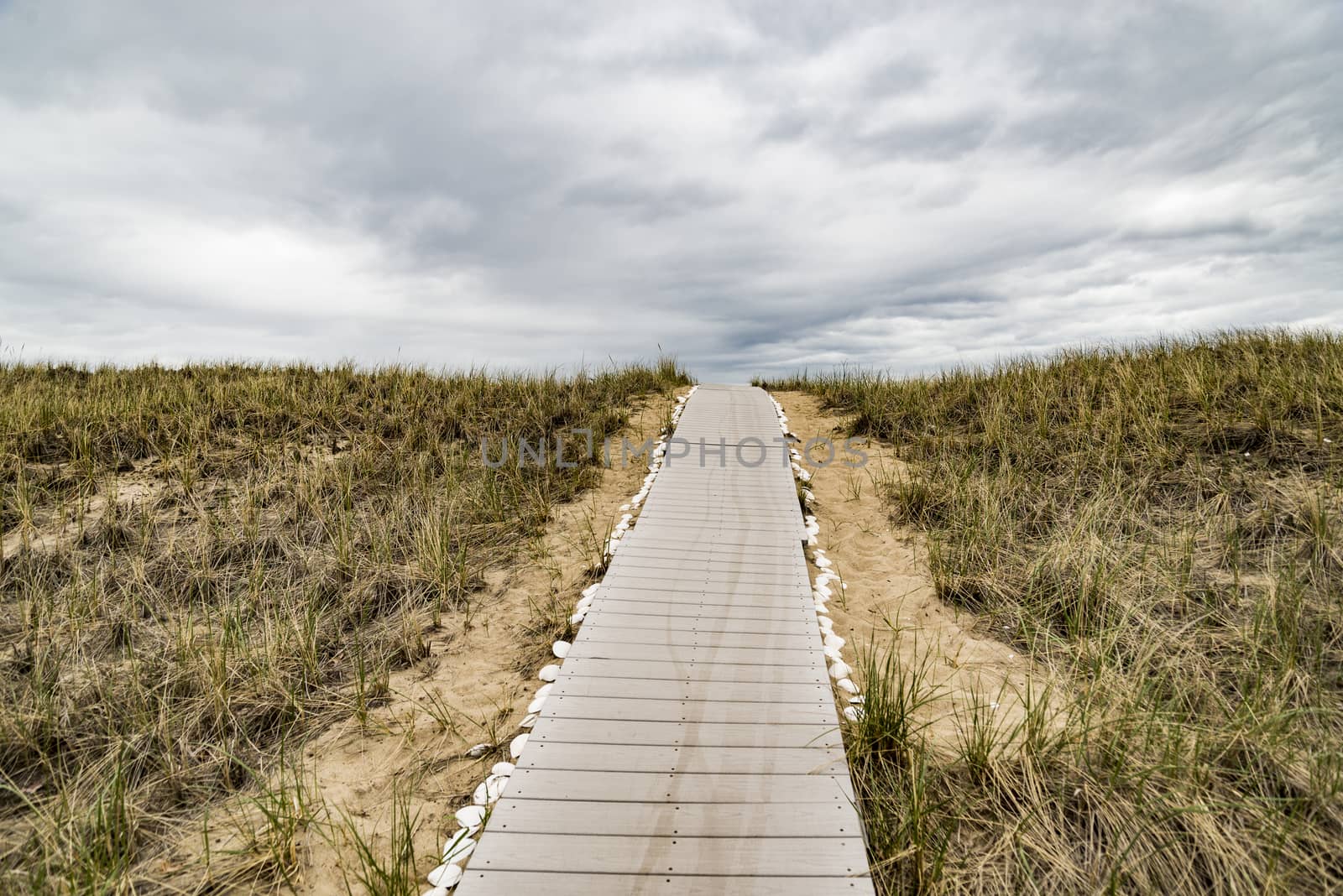 Wooden path over dunes at beach. by edella