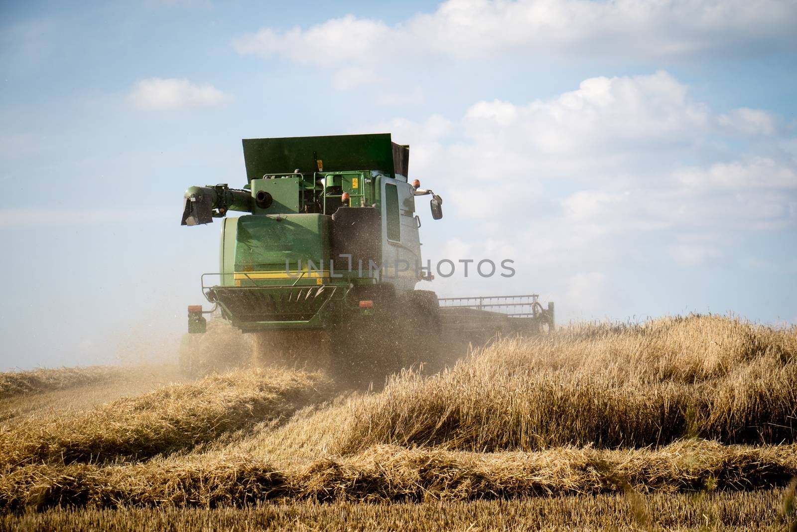 Harvester mowing in the field. Summer, harvest time. Sunny weather while mowing the grain. Village in poland
