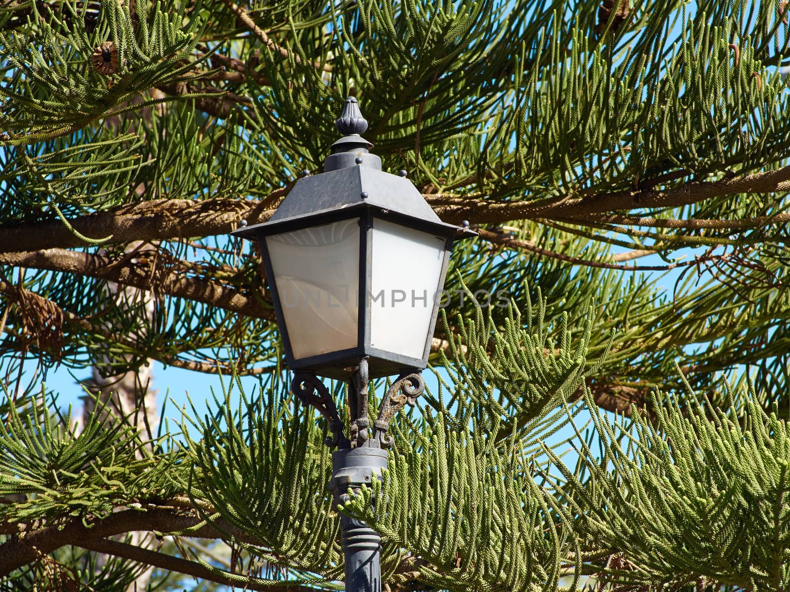 Typical traditional classical Spanish decorated street lamp and lantern Costa Blanca Spain 