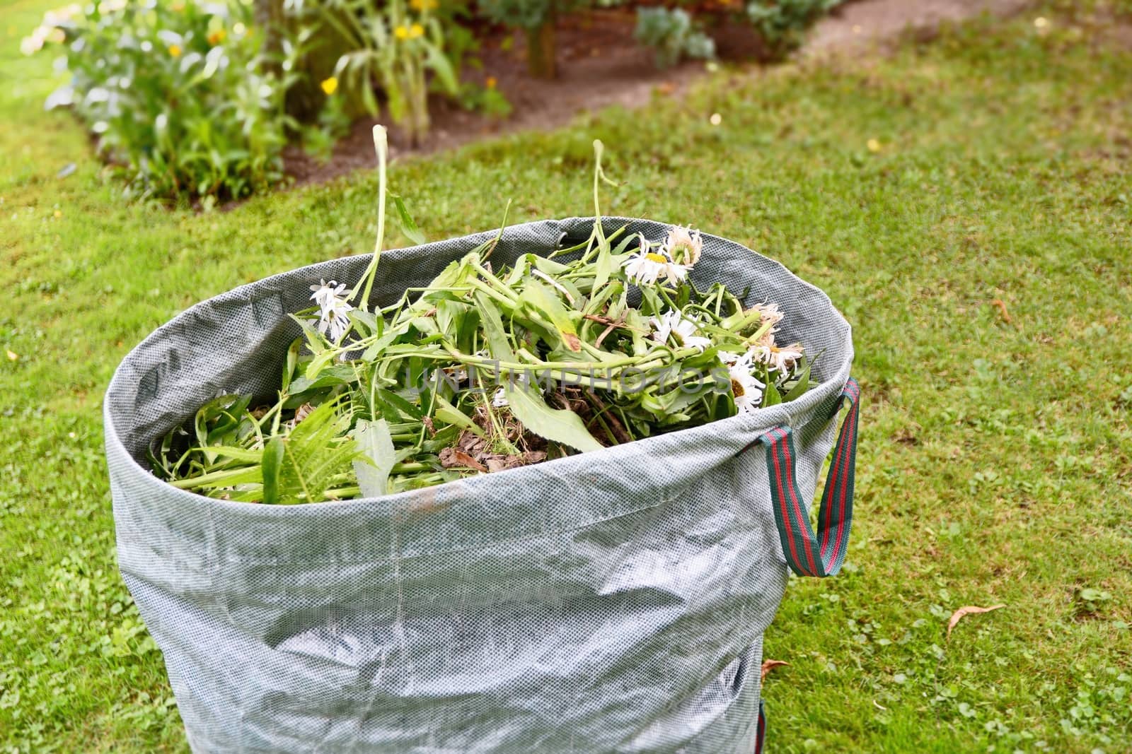 Full garden weed bag with weed and plants in the garden.