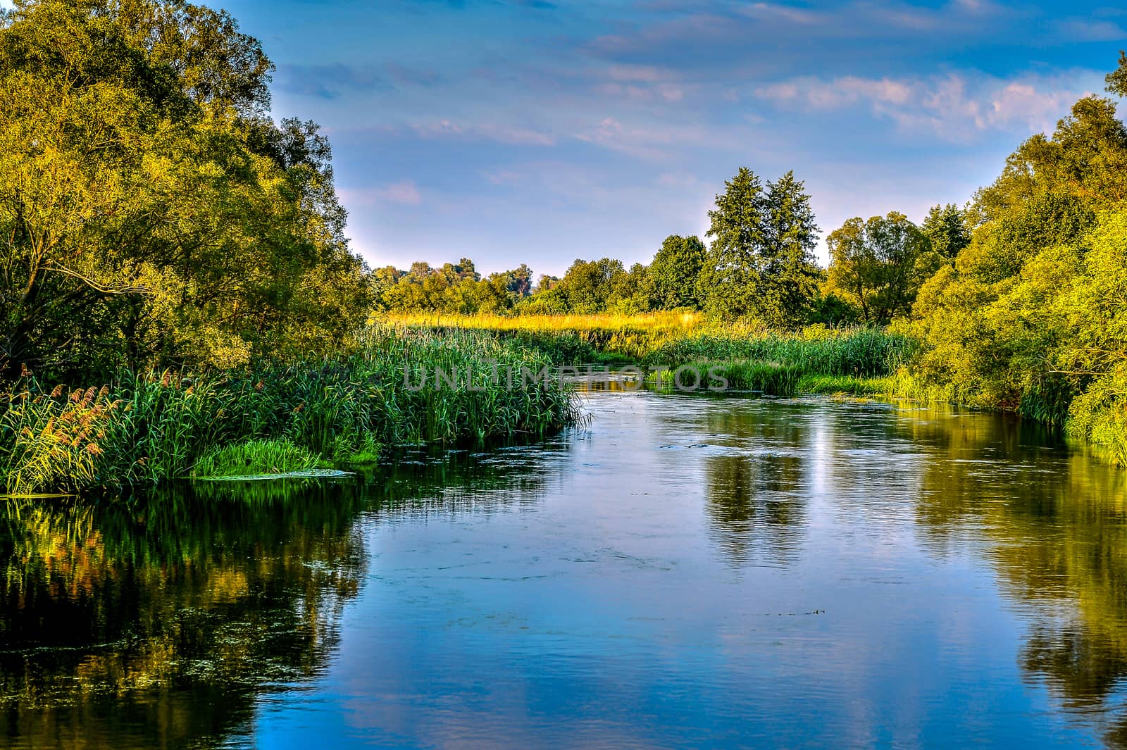 Photo with a river on a clear summer day, landscape.