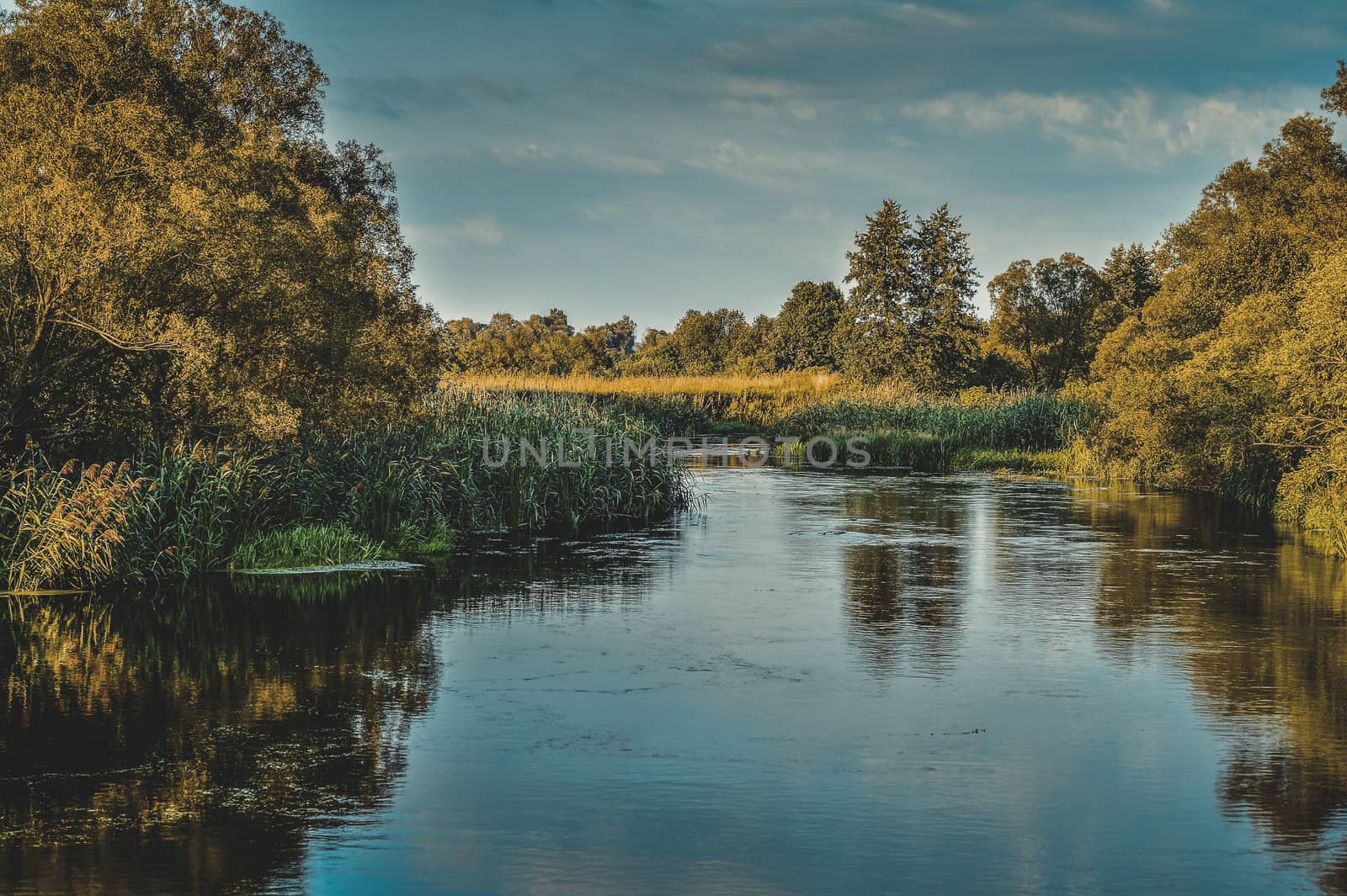 Photo with a river on a clear summer day, landscape.