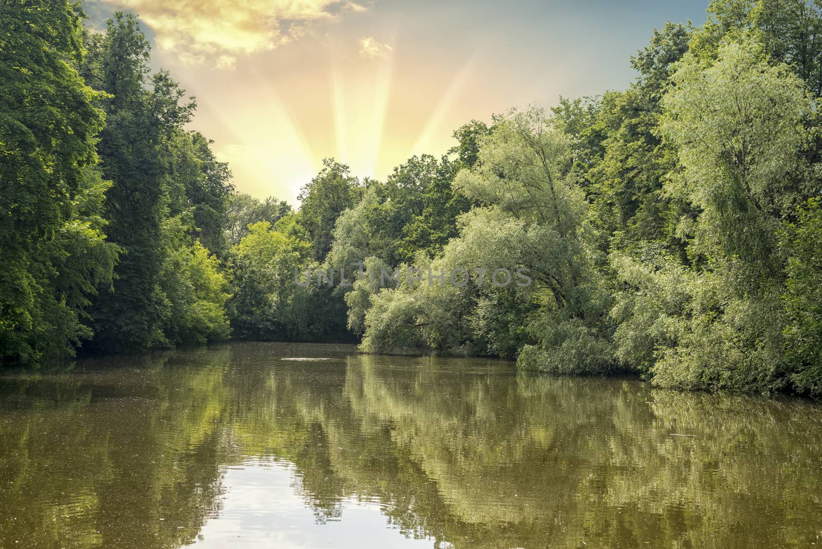 Beautiful lake in forest by cherezoff