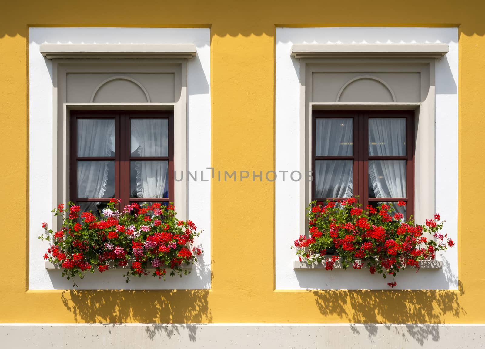 Beautiful red flowers in closed windows. Front view