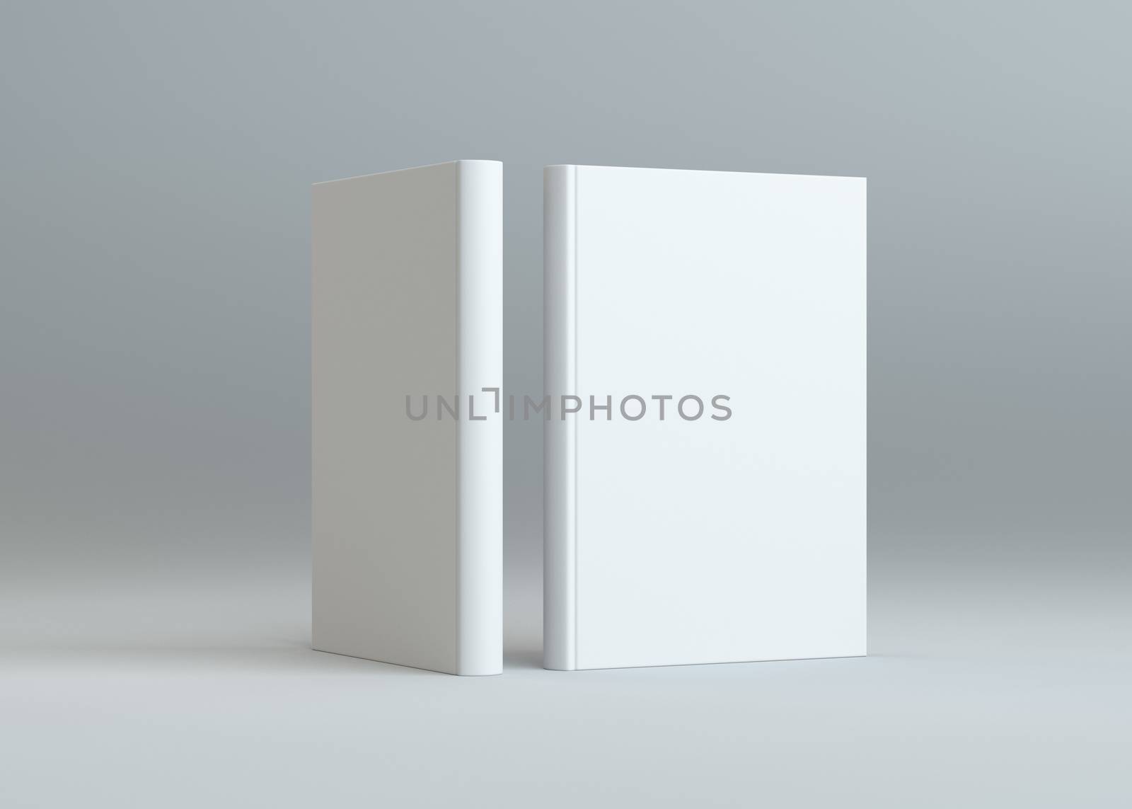 Mock up blank books, on gray background by cherezoff