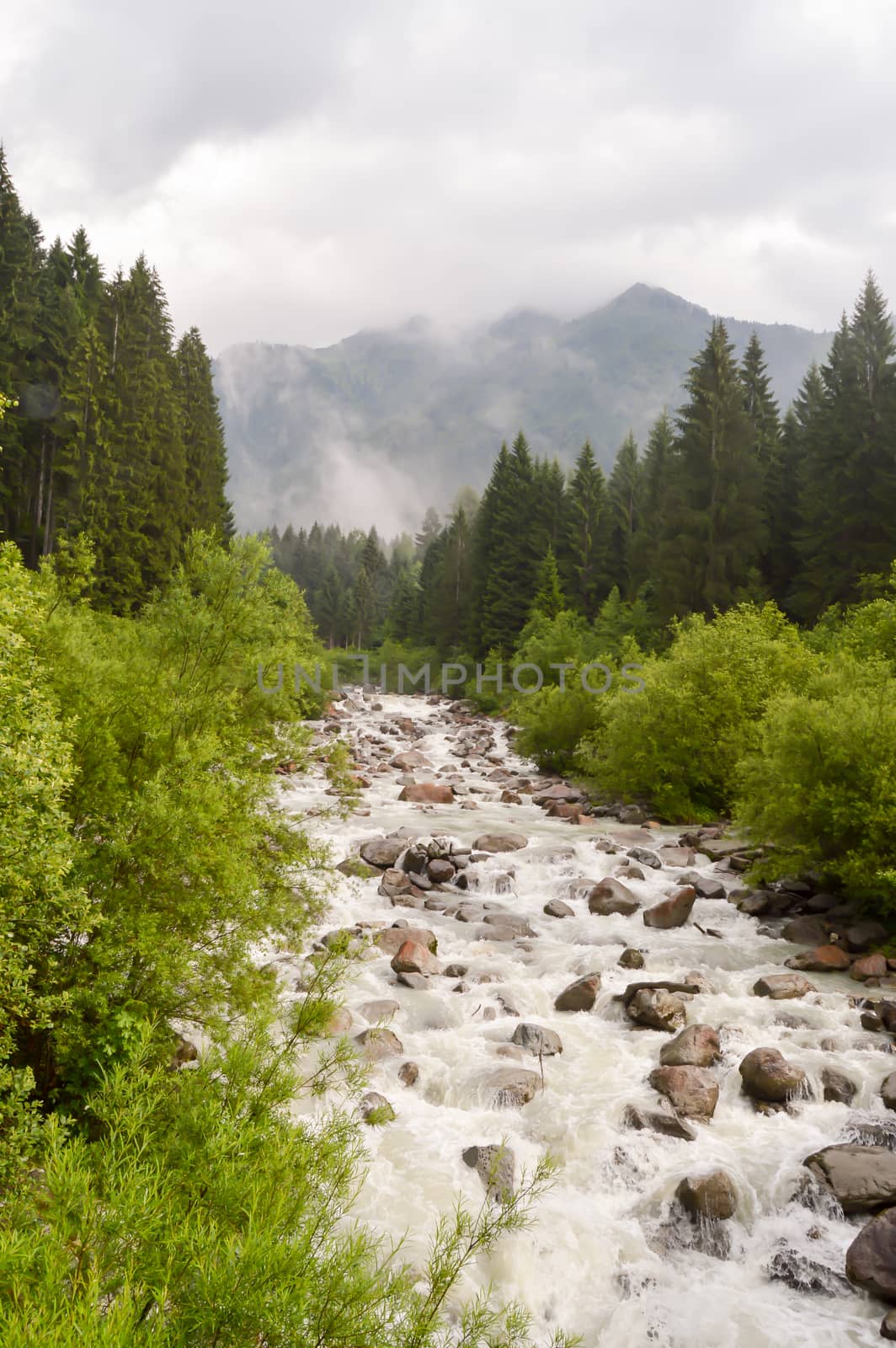 River turning into a torrent by the dolomite rains in Italy