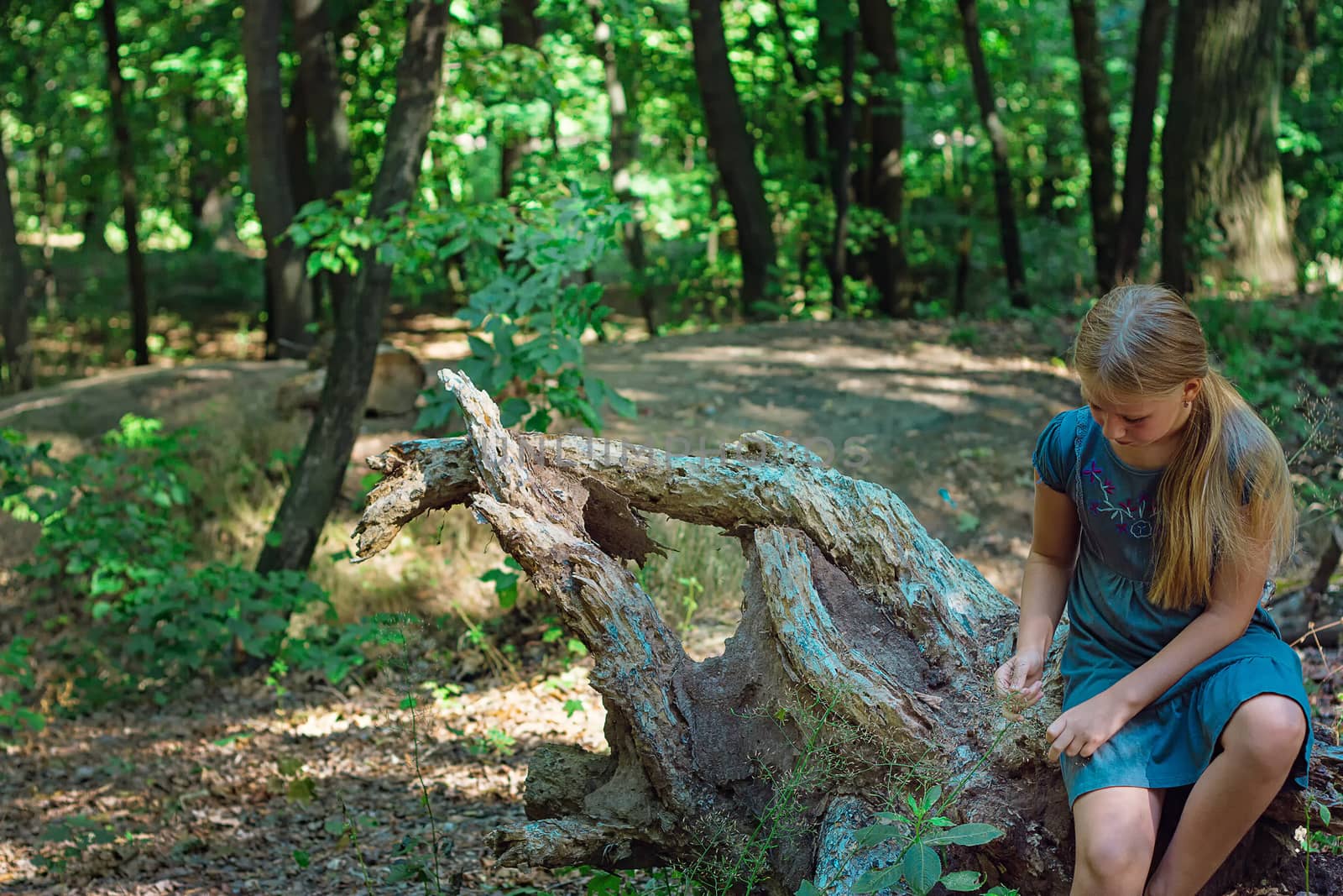 Girl sitting on a tree stump in a forest