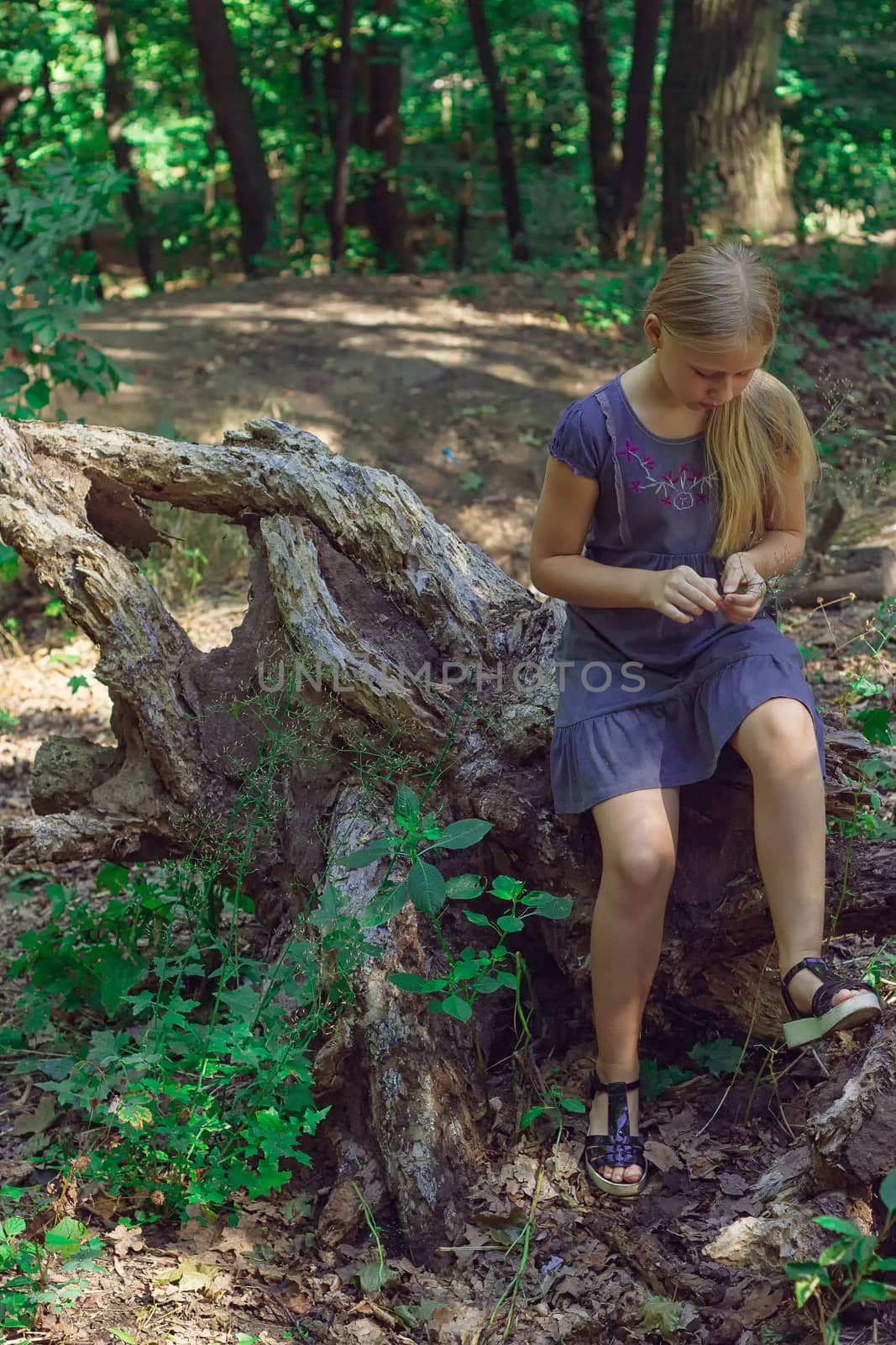 Girl sitting on a tree stump by victosha