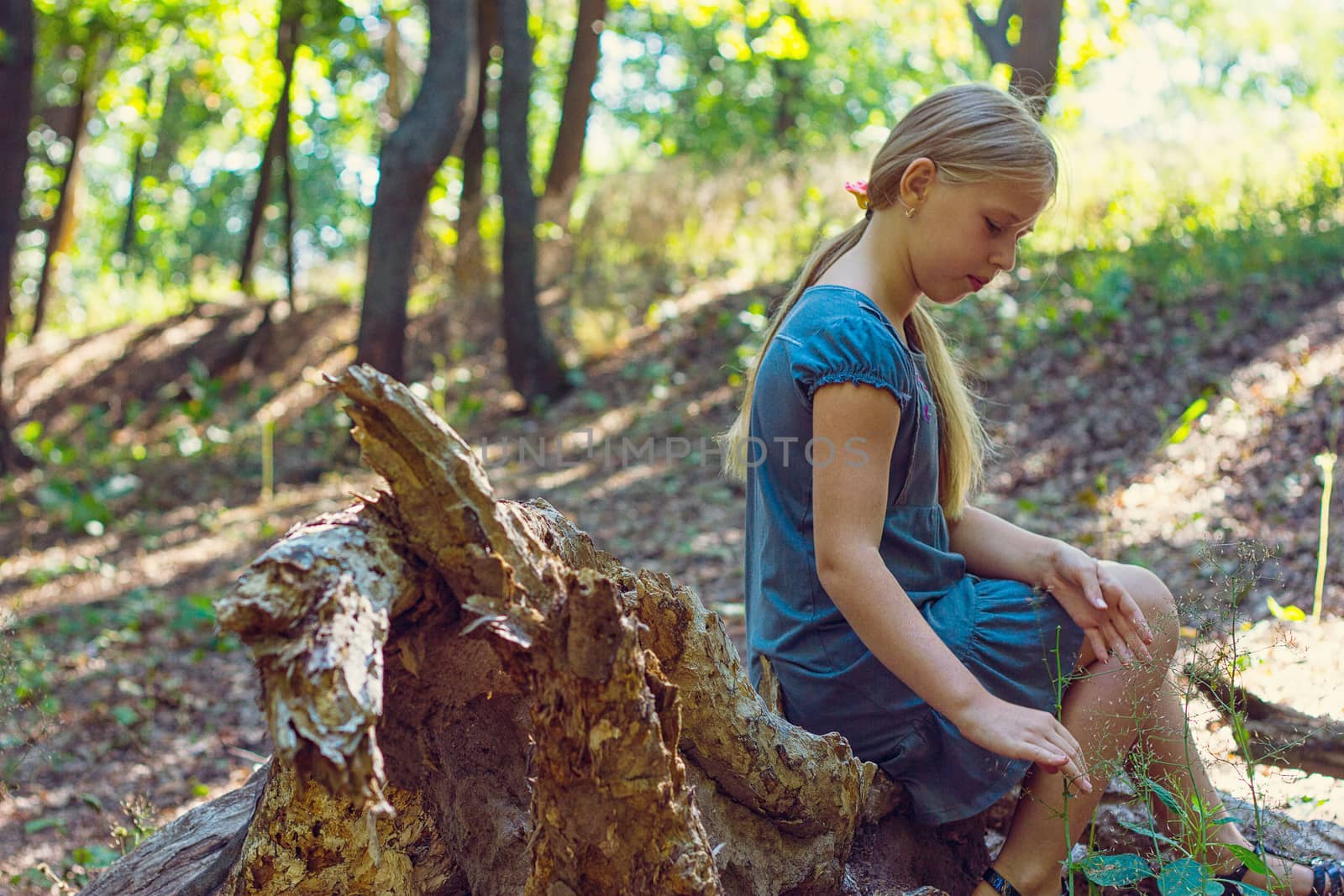 Girl sitting on a tree stump in a forest