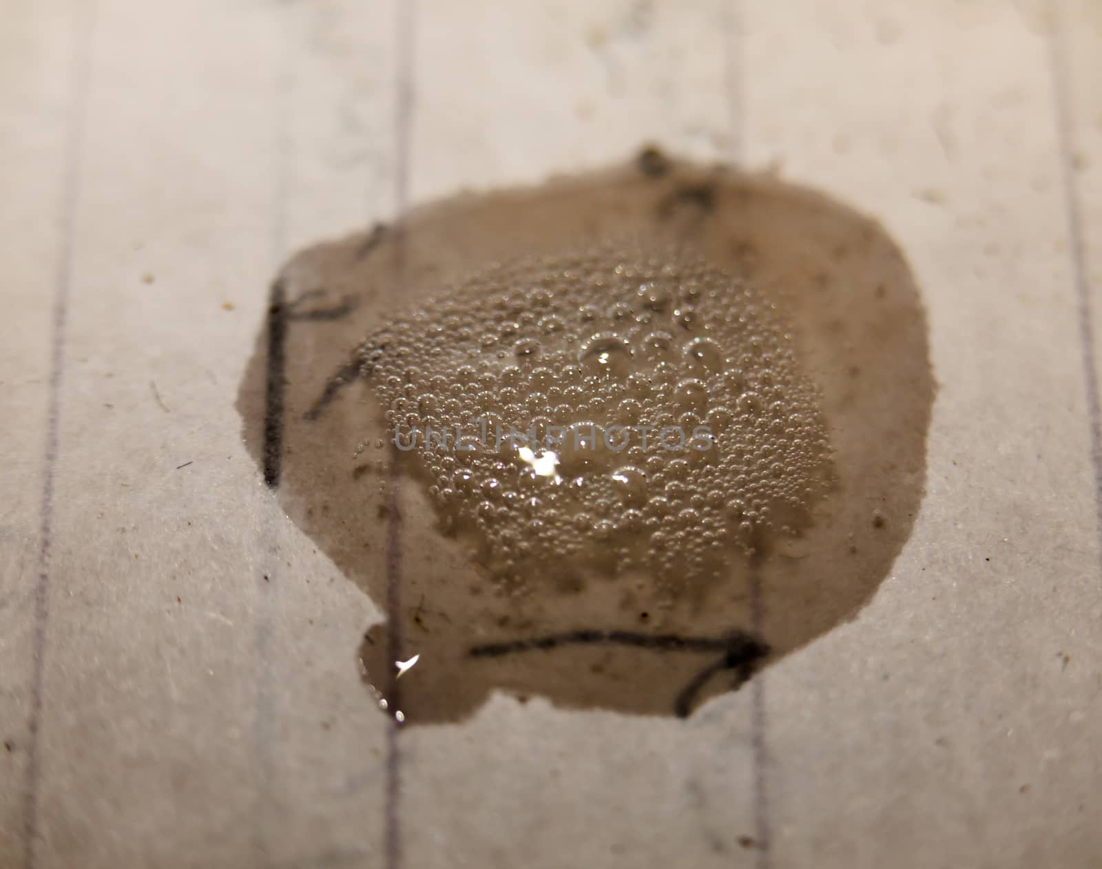 close up macro detail of water and bubbles on paper; UK