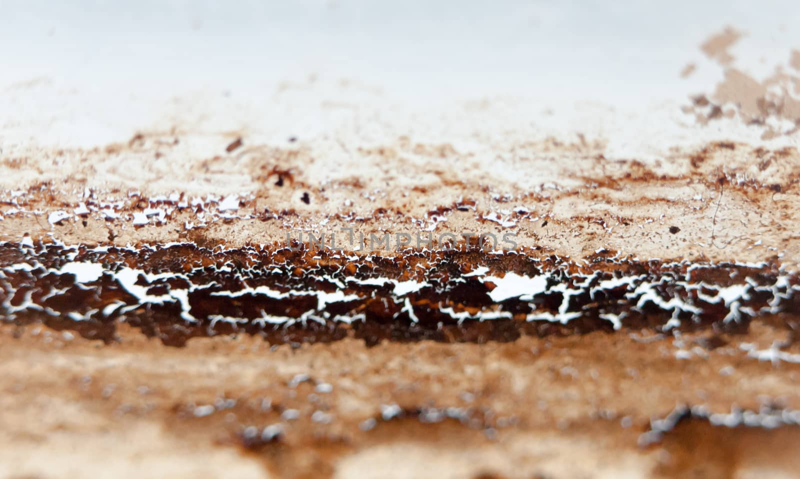 close up macro texture detail of dirty black cracked grimy browns on white background; UK
