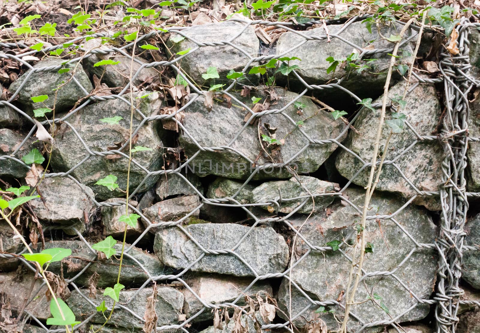 close up of wall of stones held together by metal mesh in forest path; UK